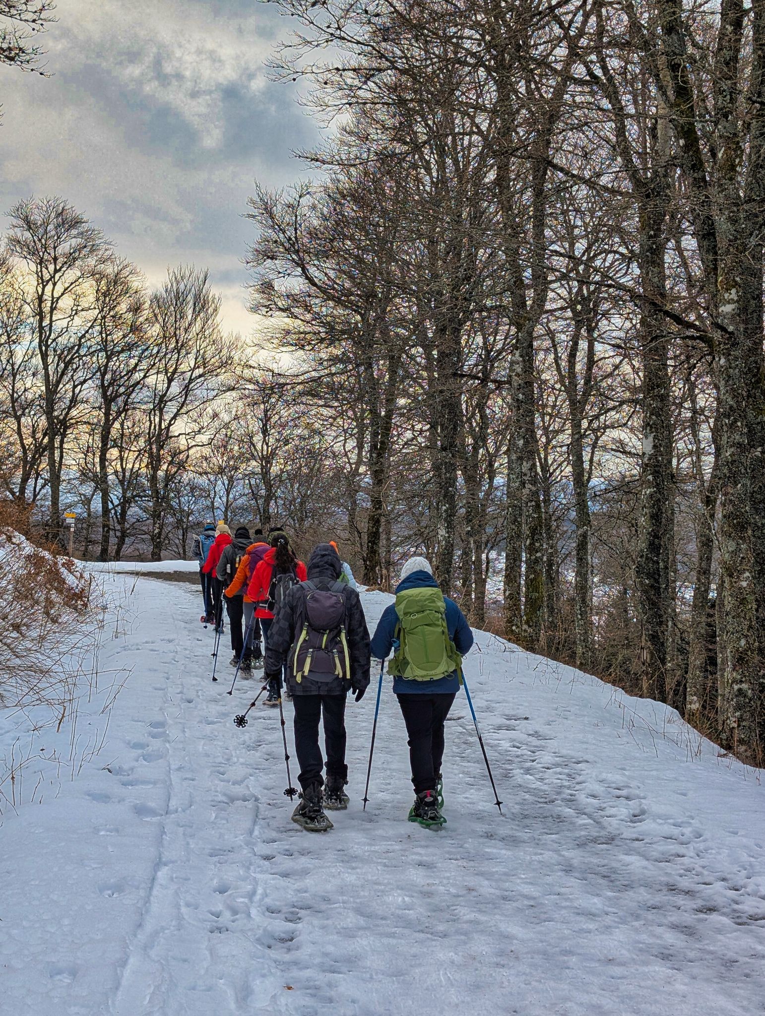 PXL 20250207 090515484