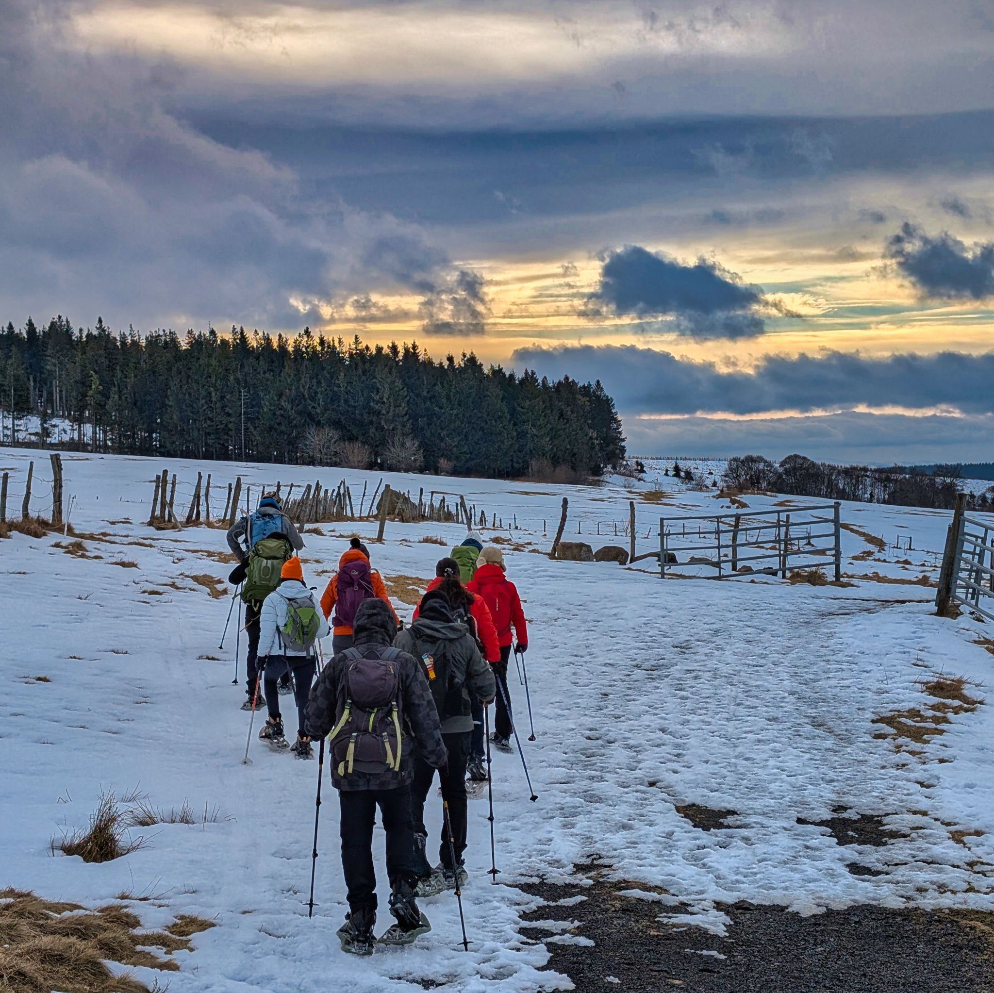 PXL 20250207 091348503