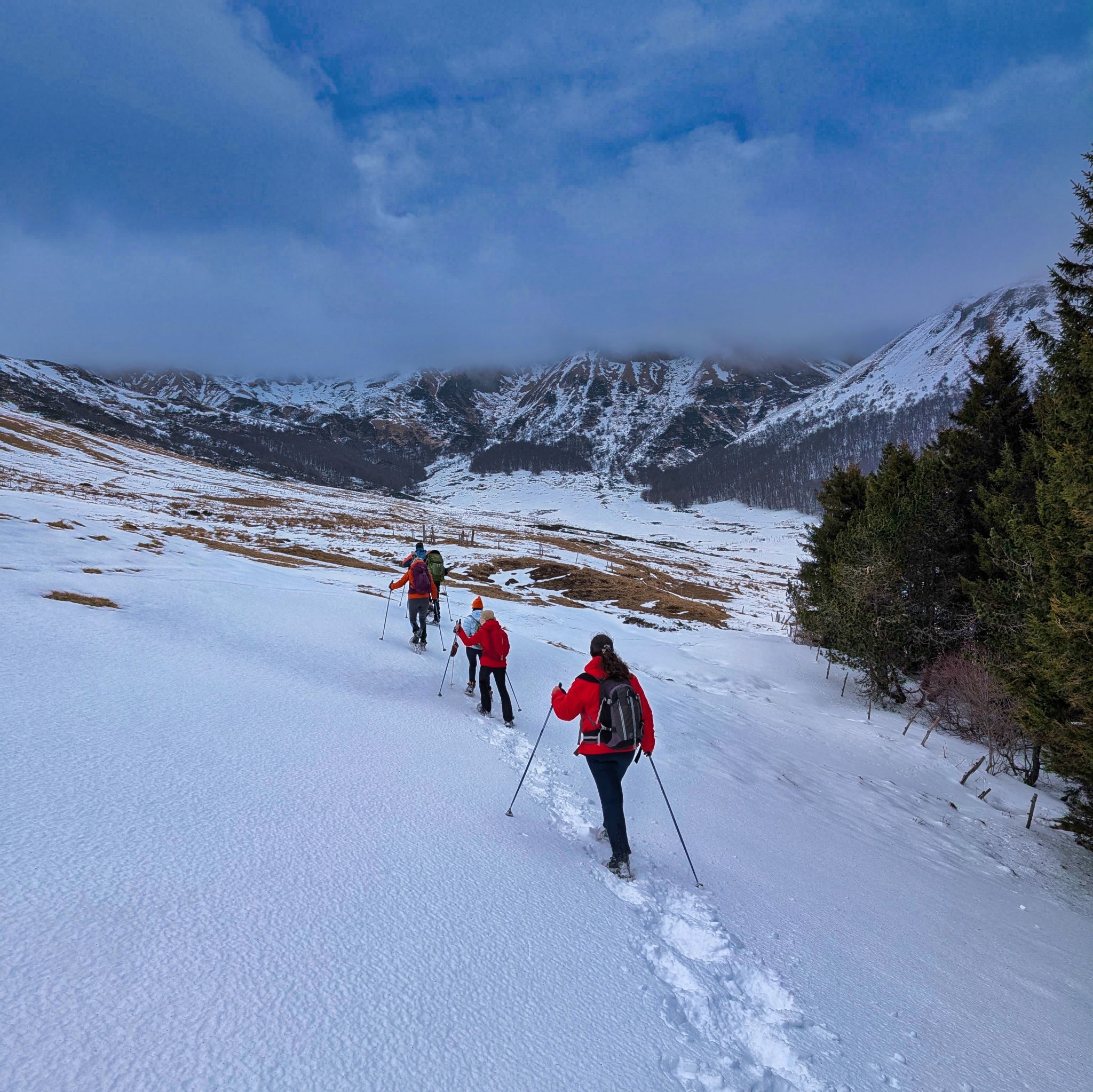 PXL 20250207 101615391