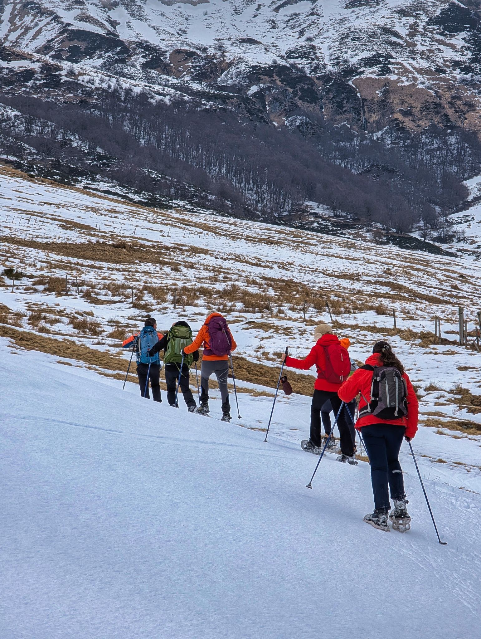 PXL 20250207 101631655