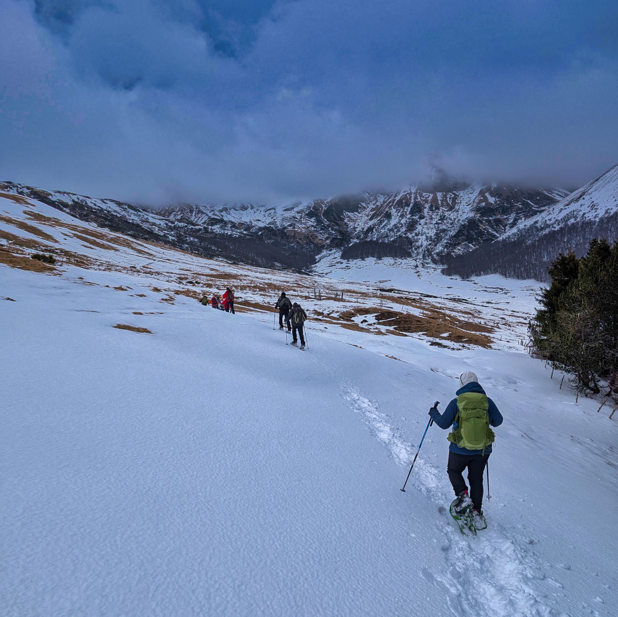 PXL 20250207 101648279