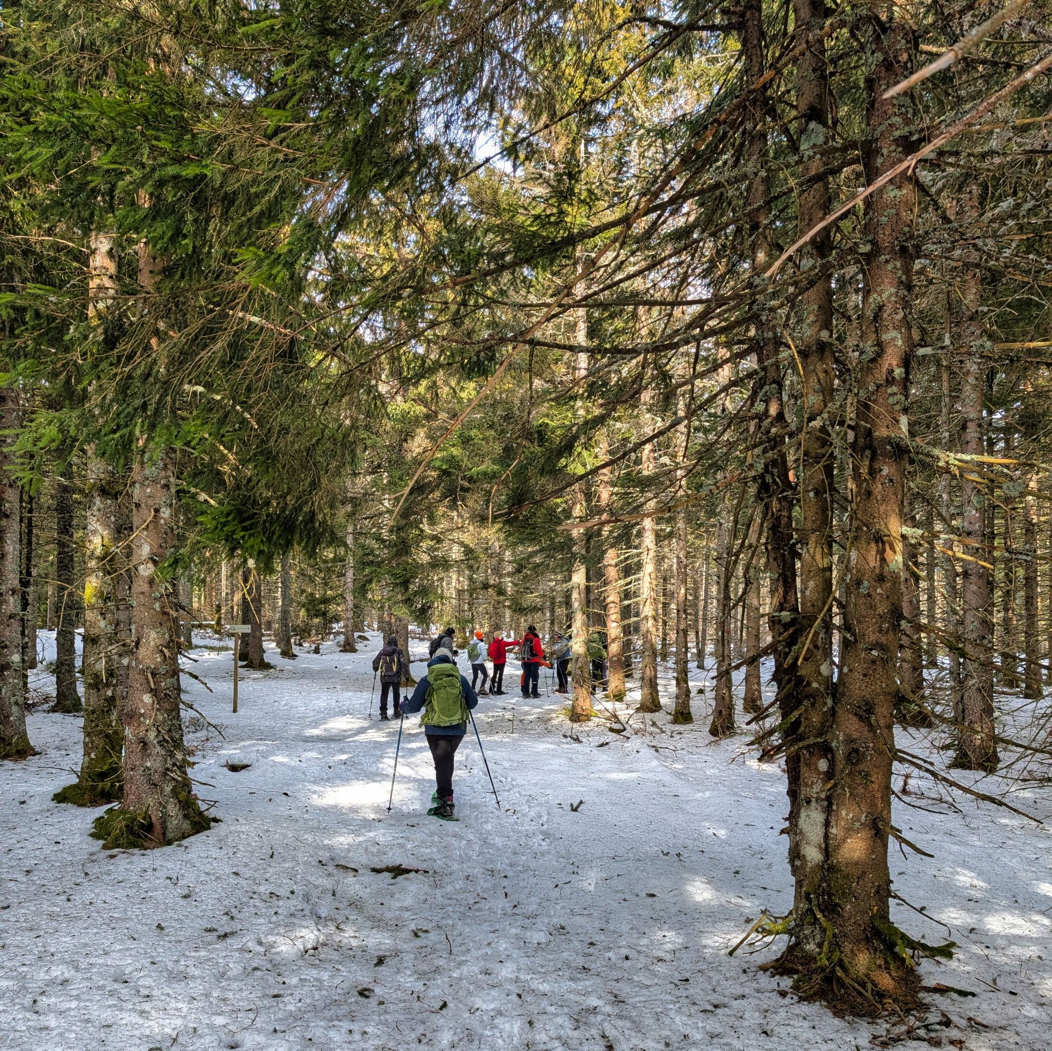 PXL 20250207 122807996