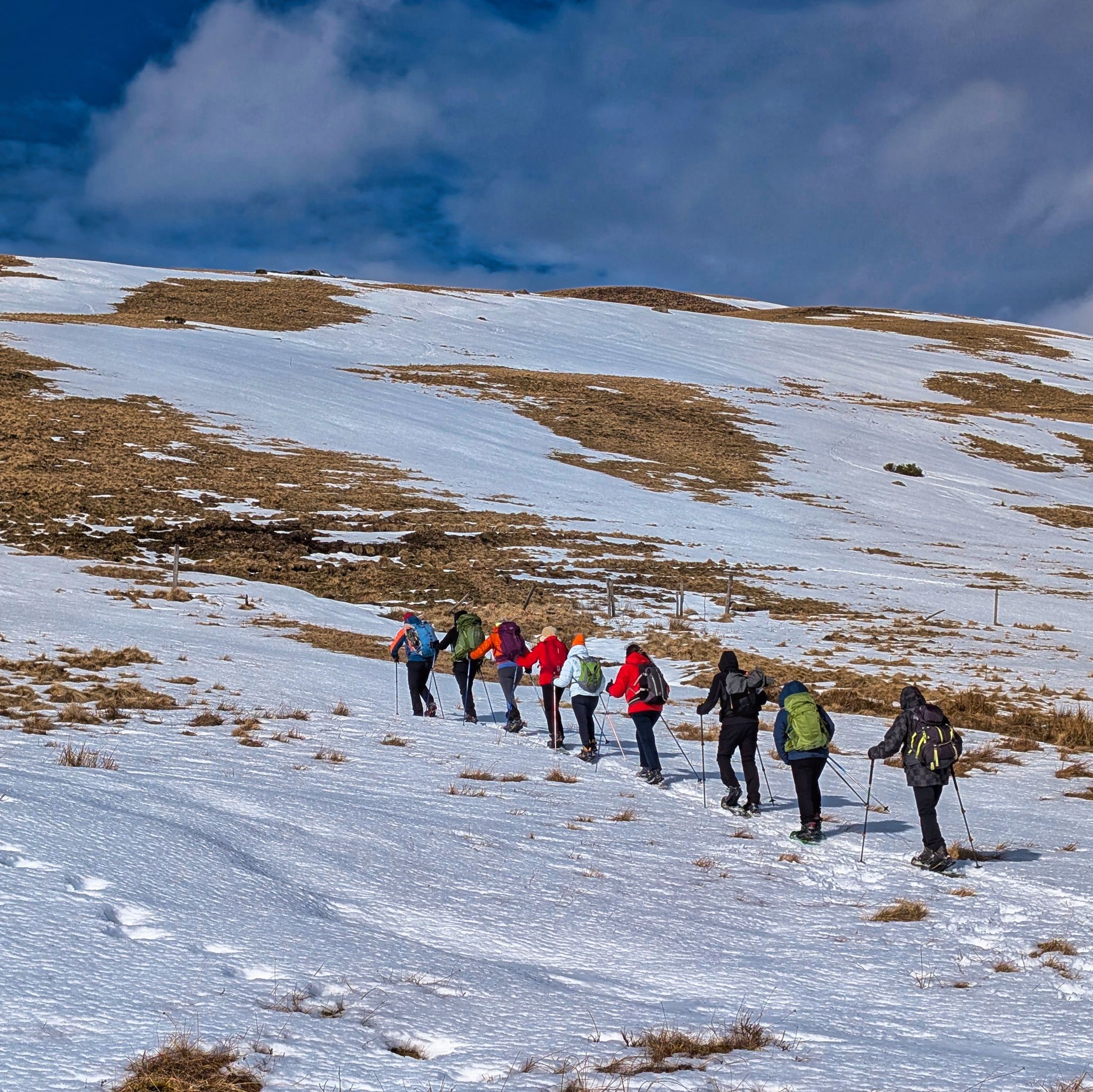 PXL 20250207 130345189