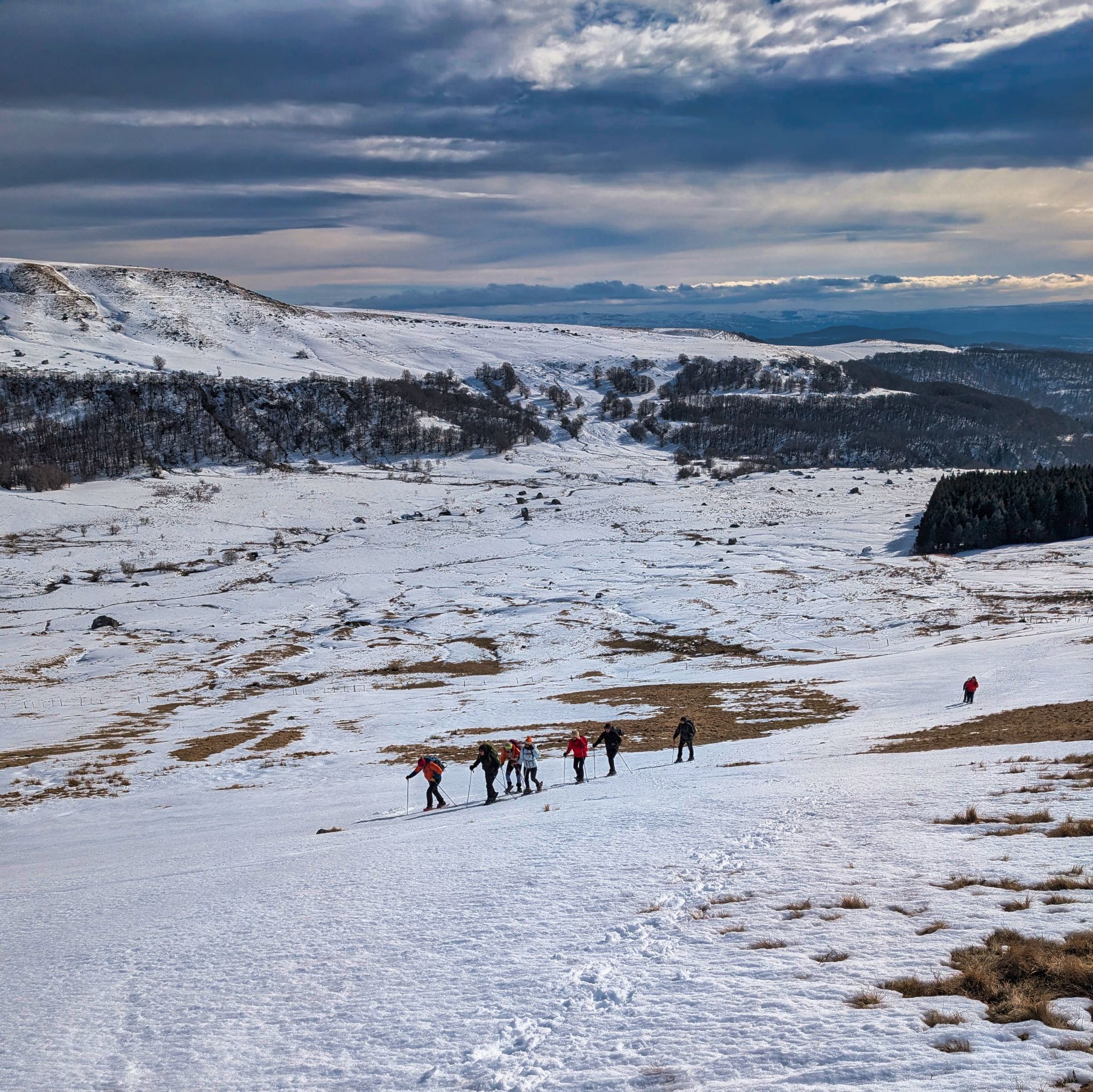 PXL 20250207 131246915