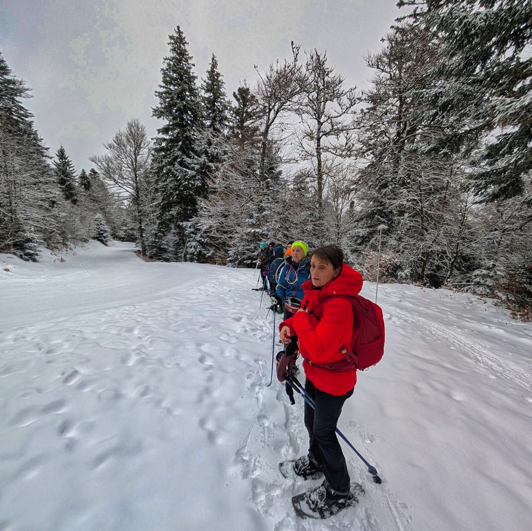 PXL 20250208 101239513