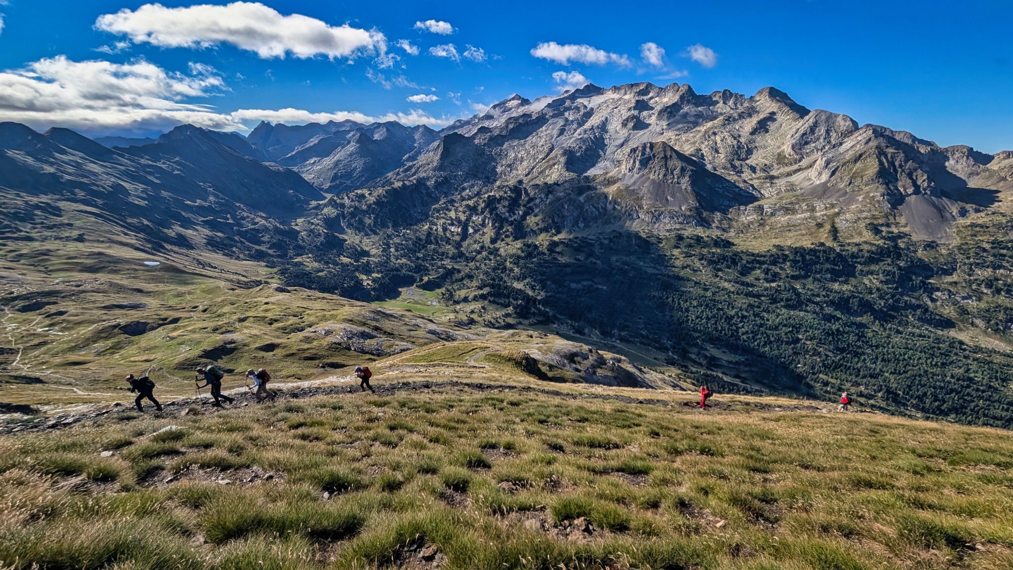 PXL 20250830 075610560