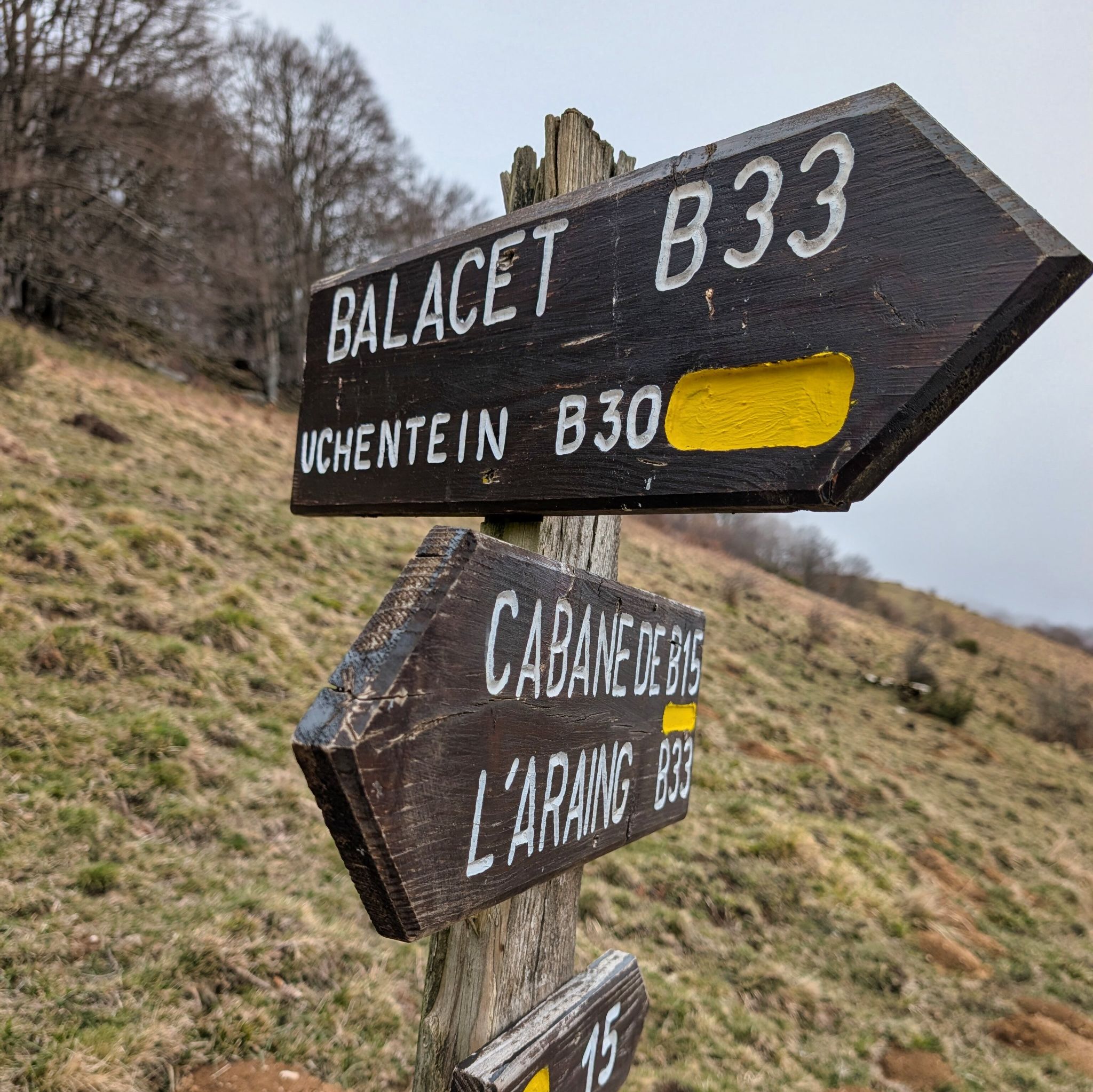 PXL 20260308 125459480