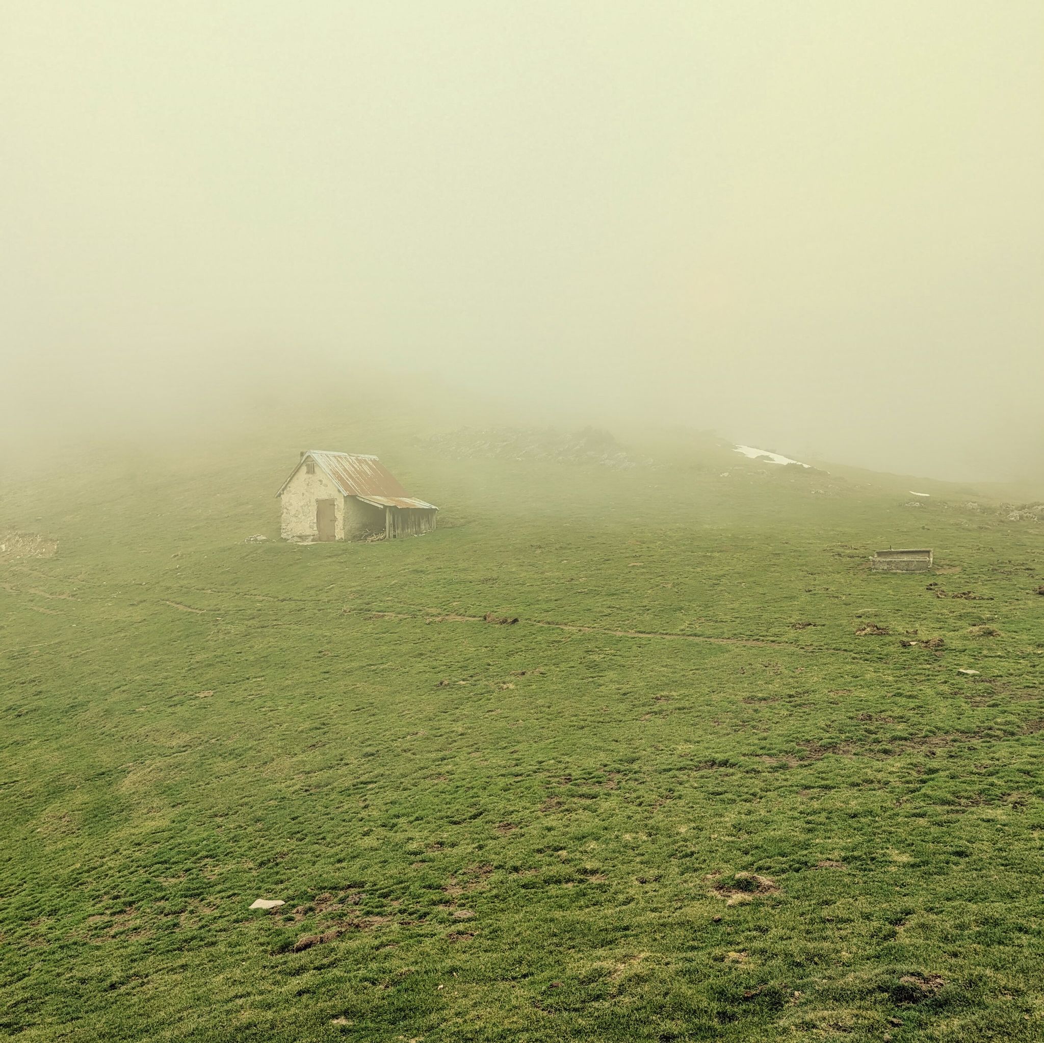 PXL 20260308 132103272