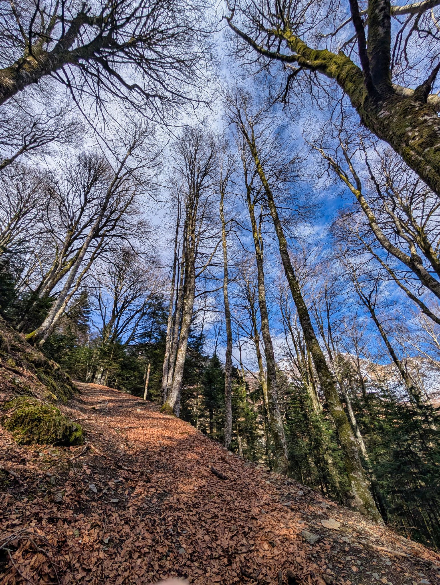 PXL 20260203 105313647