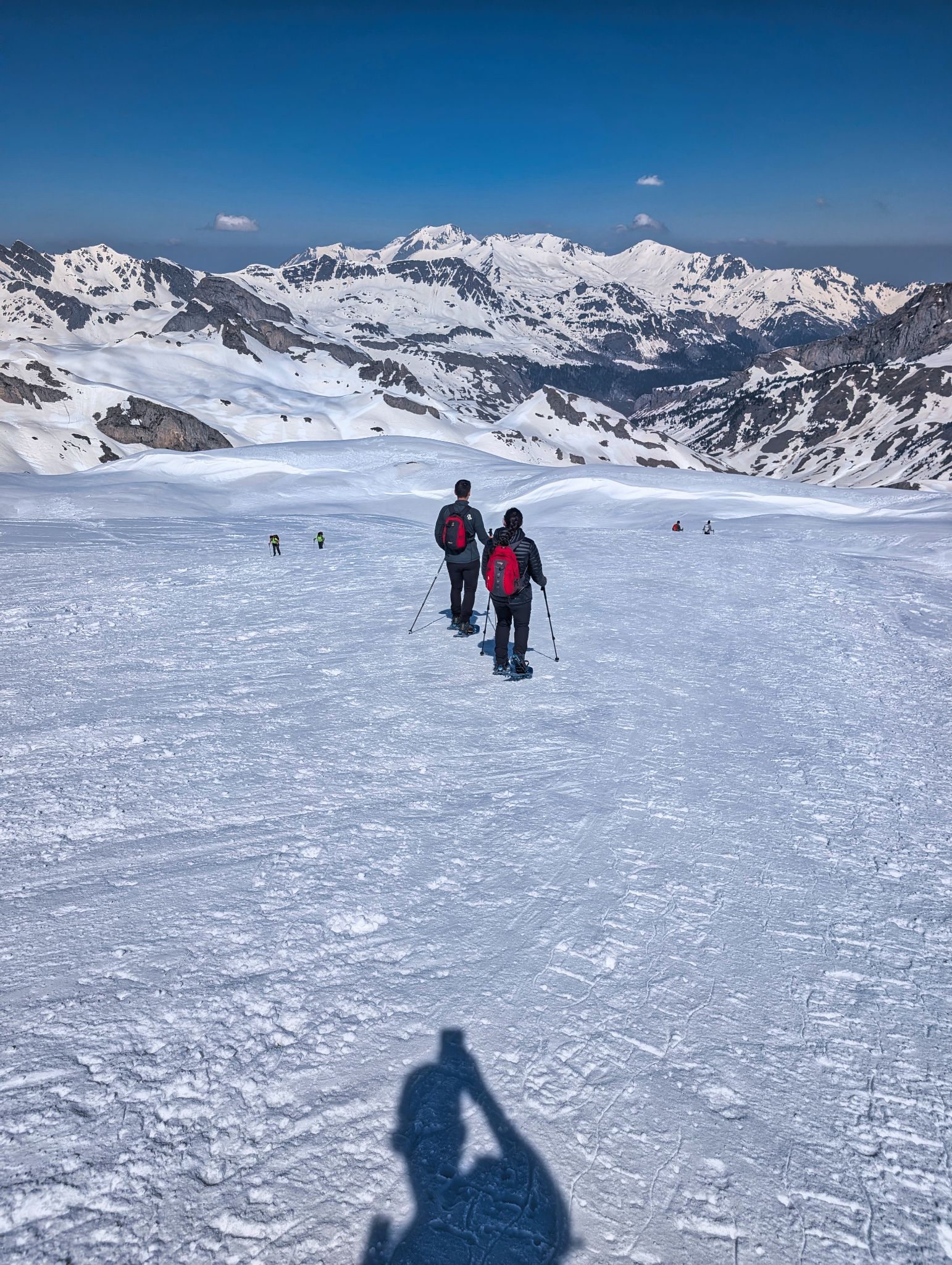 PXL 20260321 113152150.MP