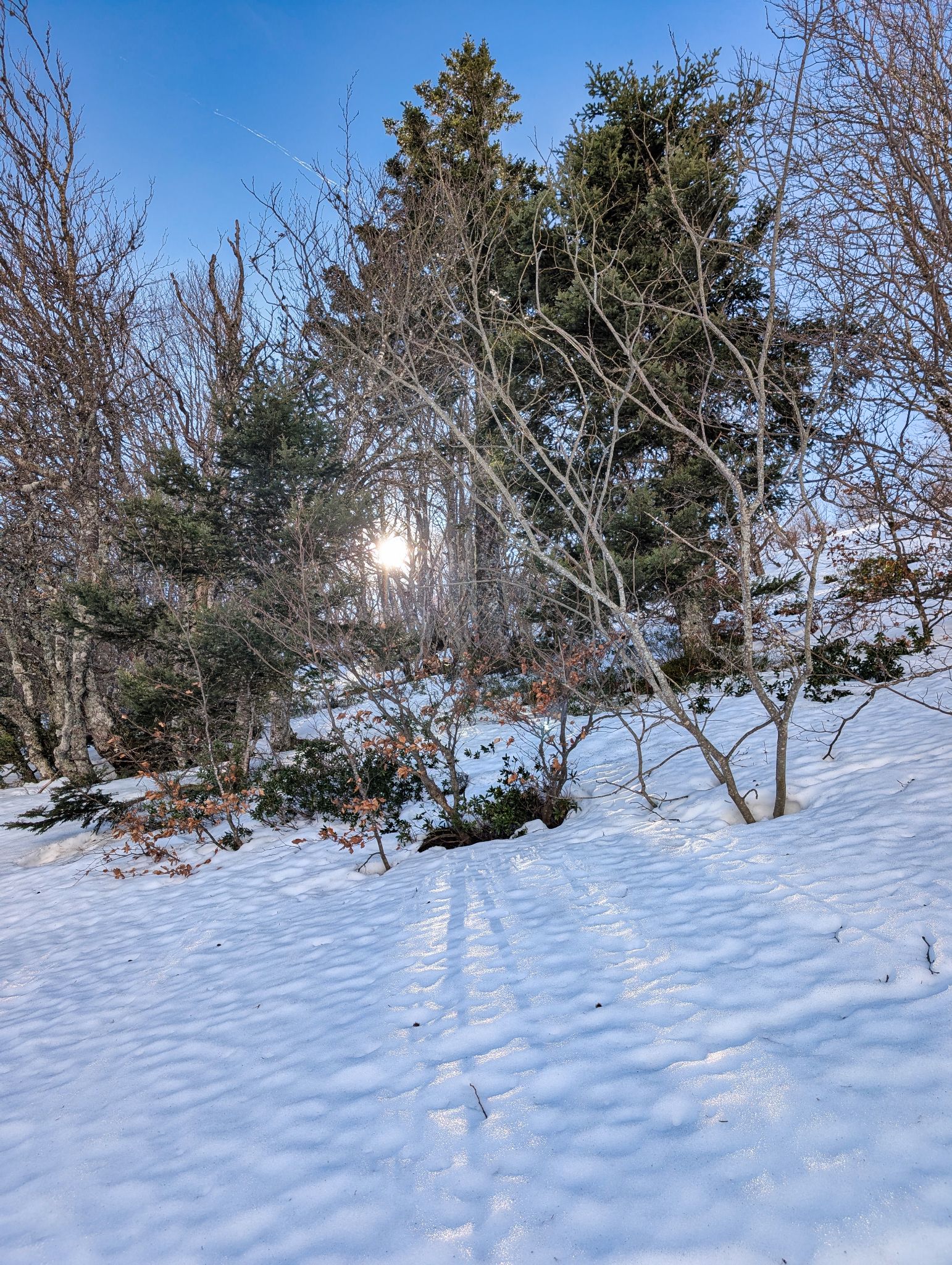 PXL 20260218 110528383