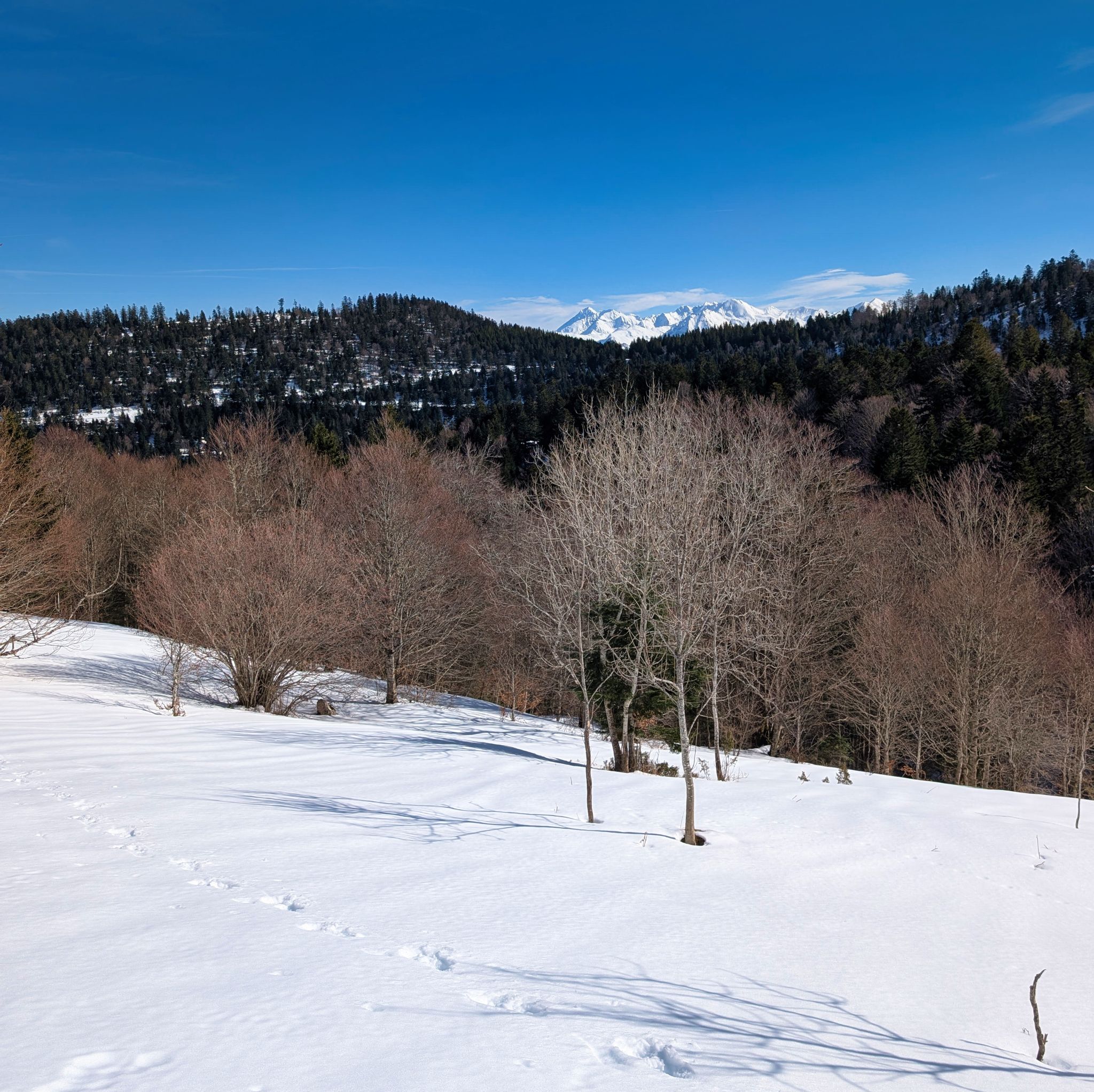 PXL 20260218 121213644.MP