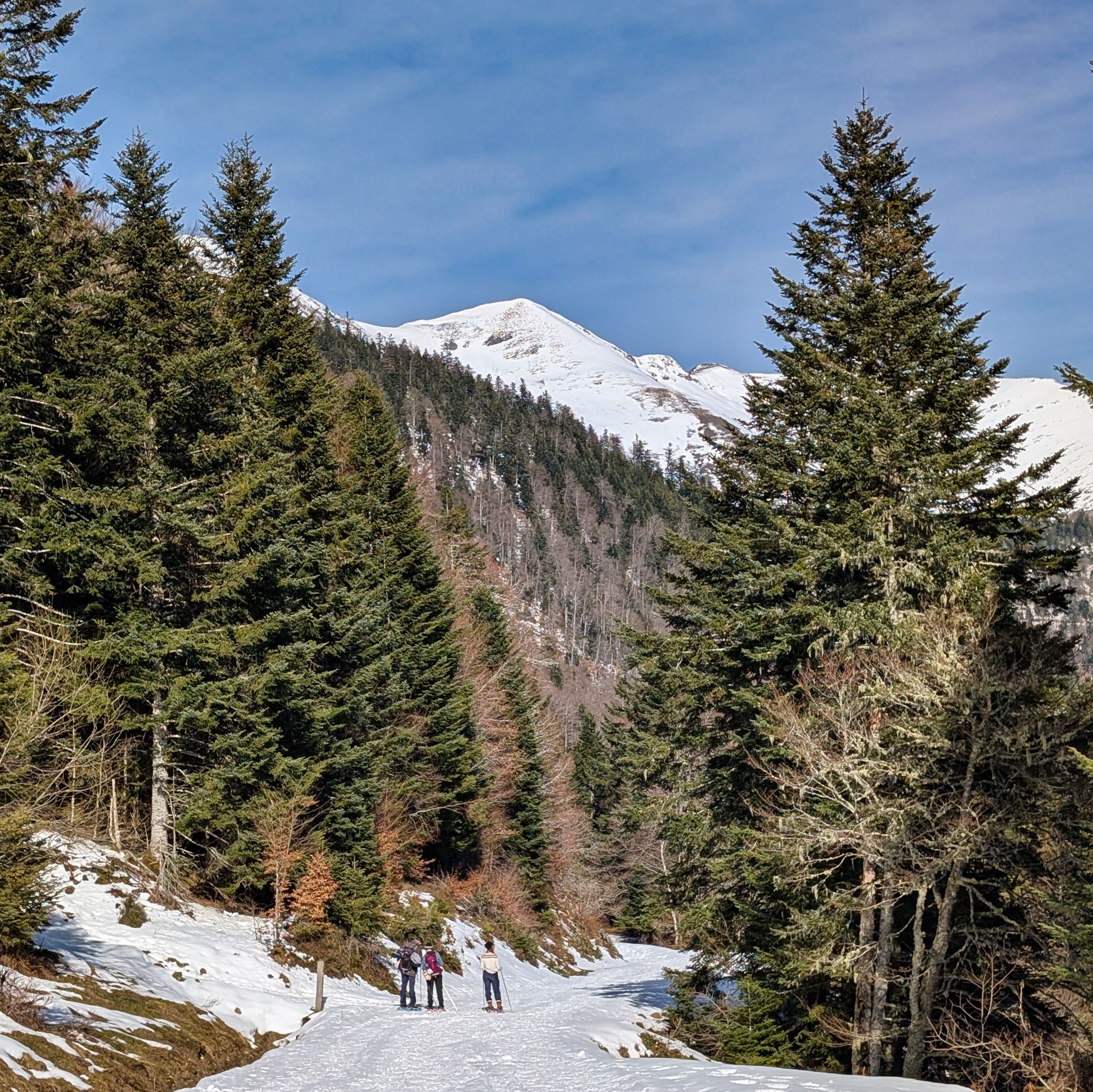 PXL 20260218 124742671.MP