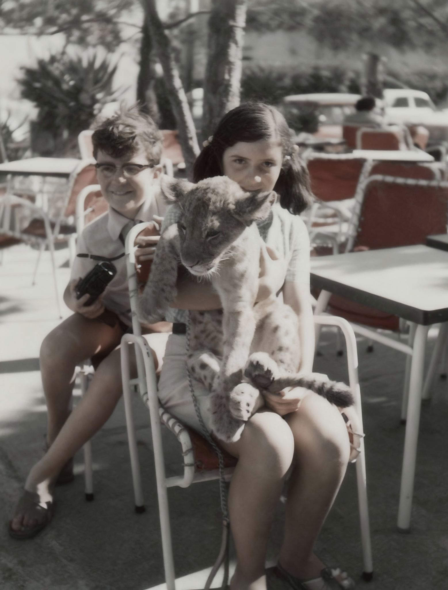 Flo vero tigre st tropez 1969 Restored