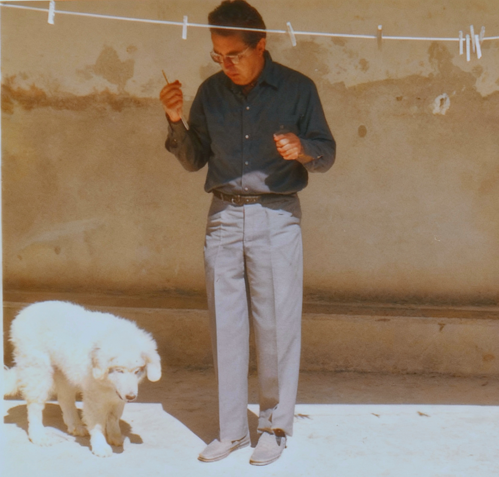 Guy baloo 1 Restored