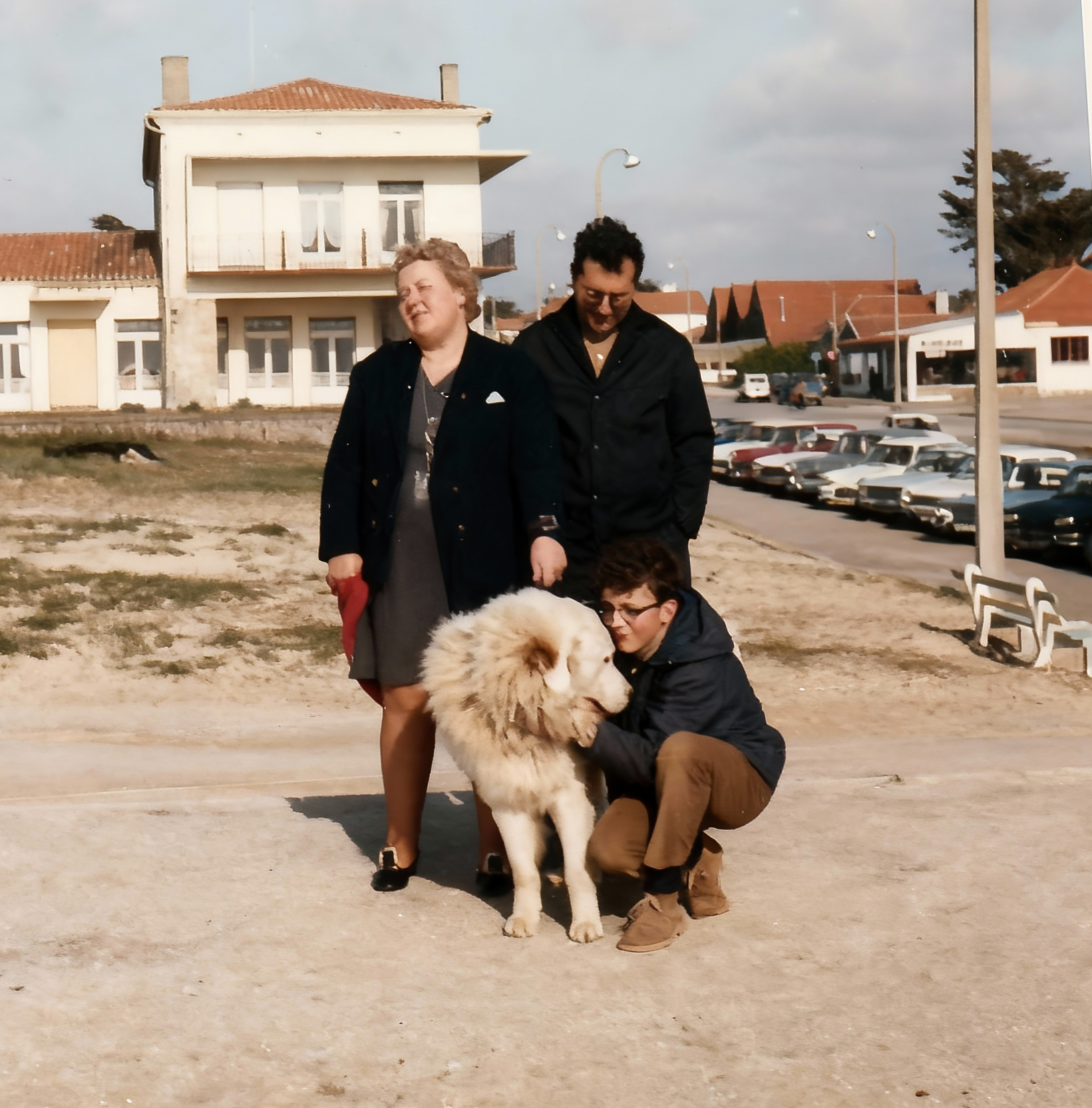 Jacqueline guy florent baloo Restored