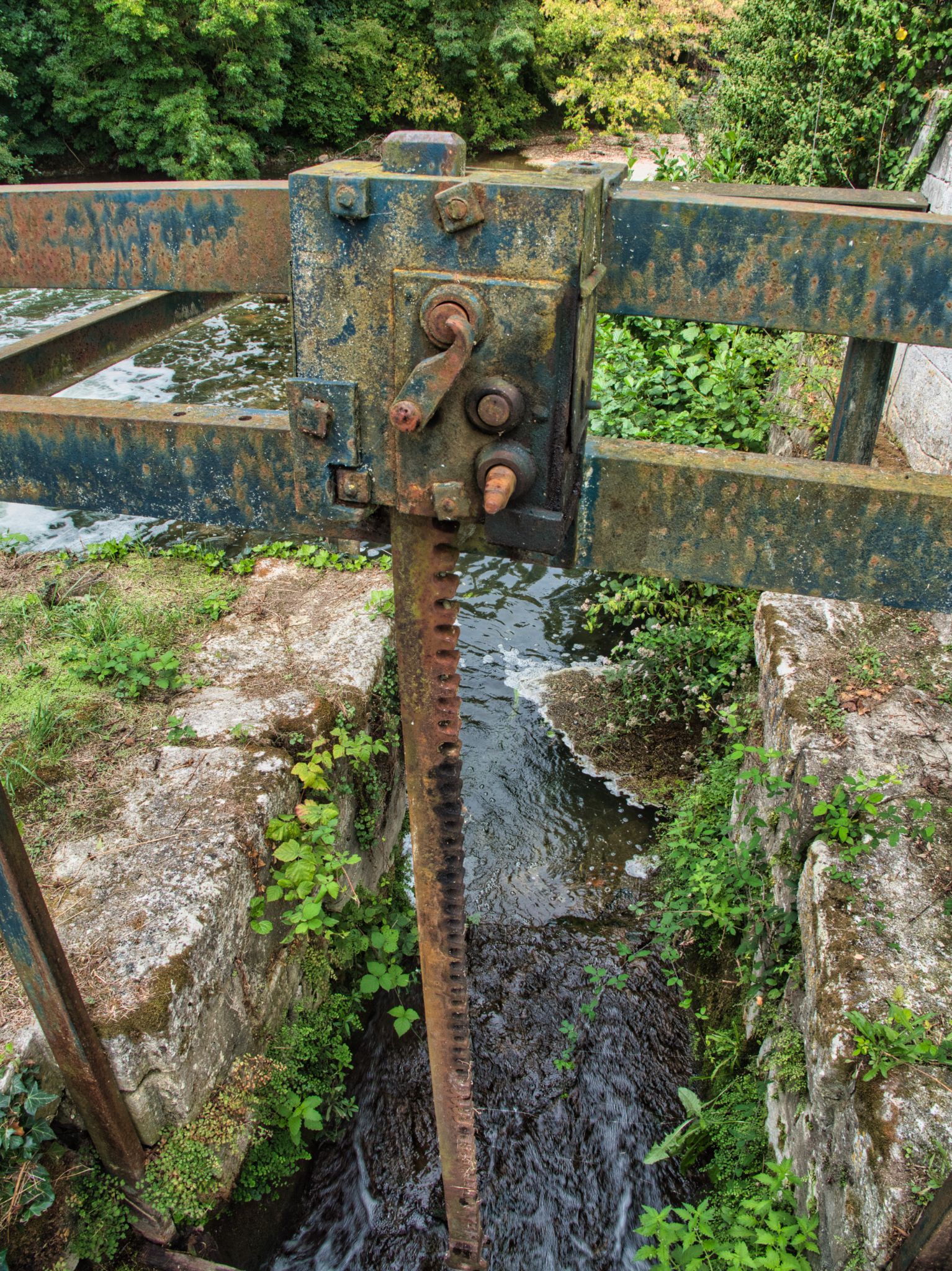 P1004507
