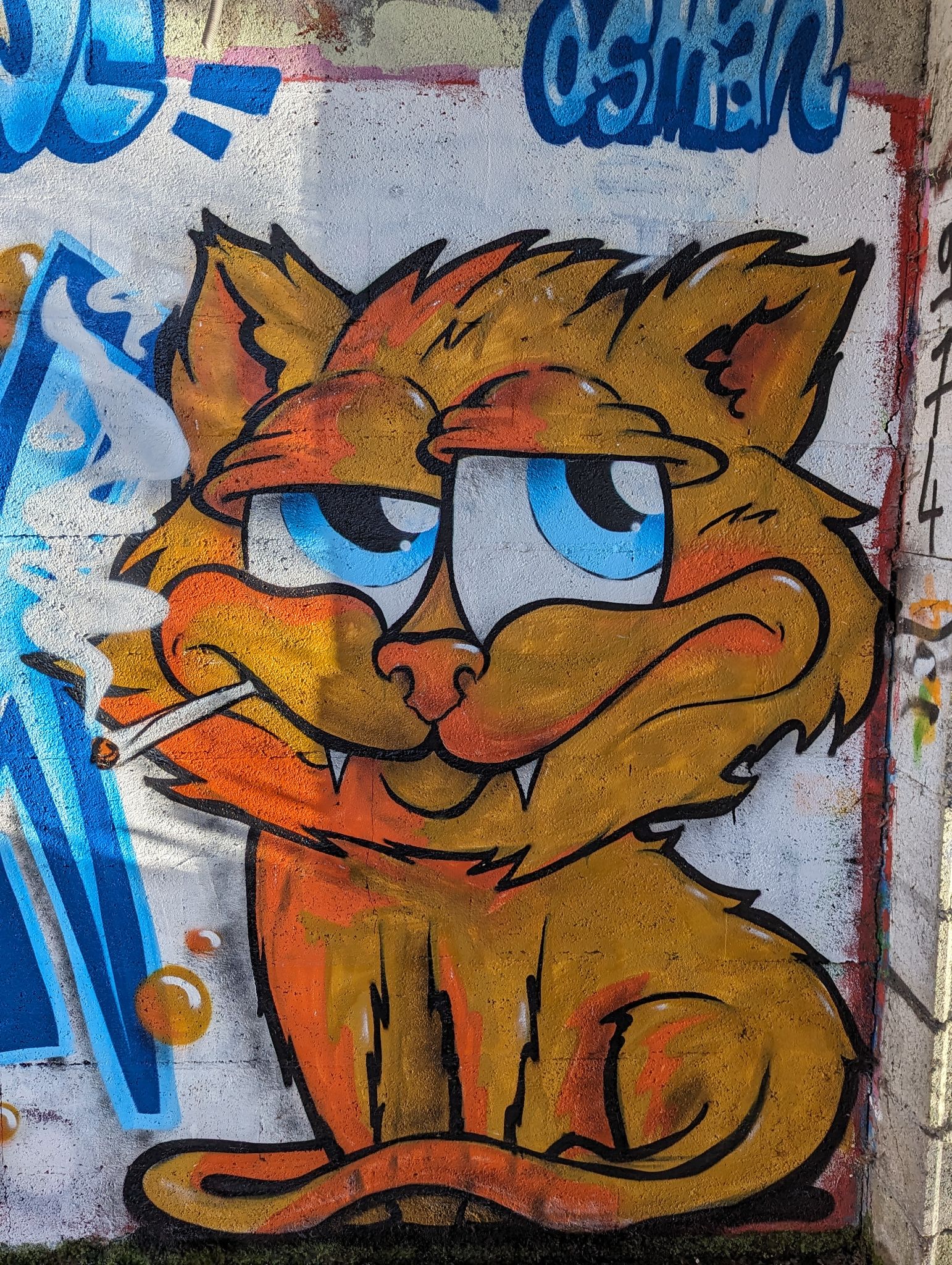 PXL 20240120 142020506