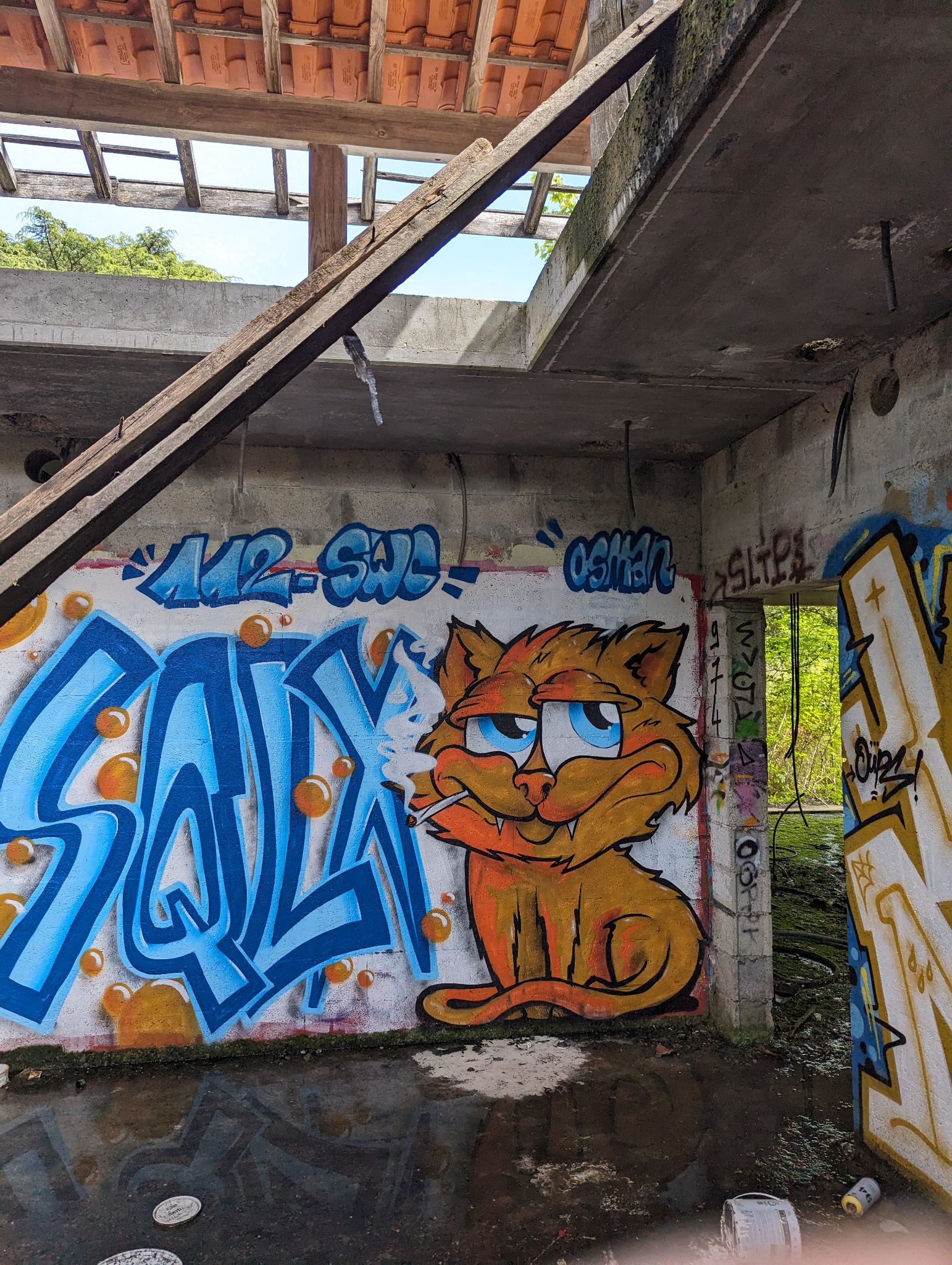 PXL 20240505 133651217.MP