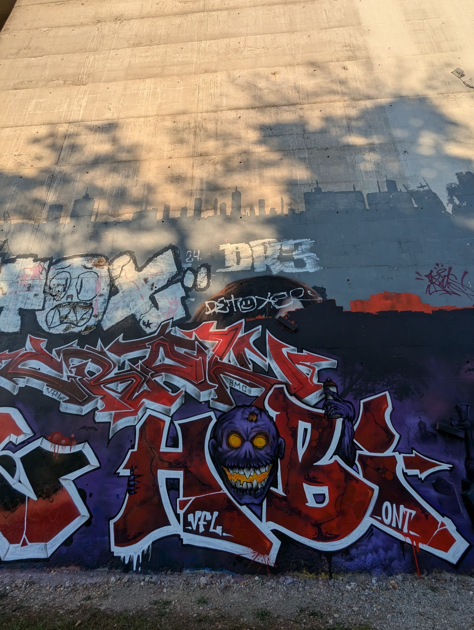 PXL 20241113 151737582