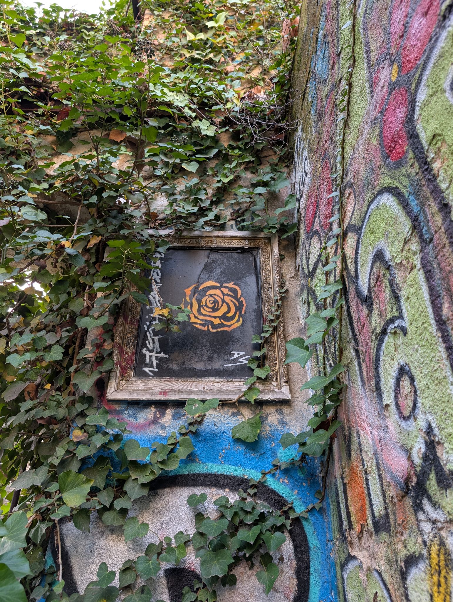 PXL 20251216 135215265