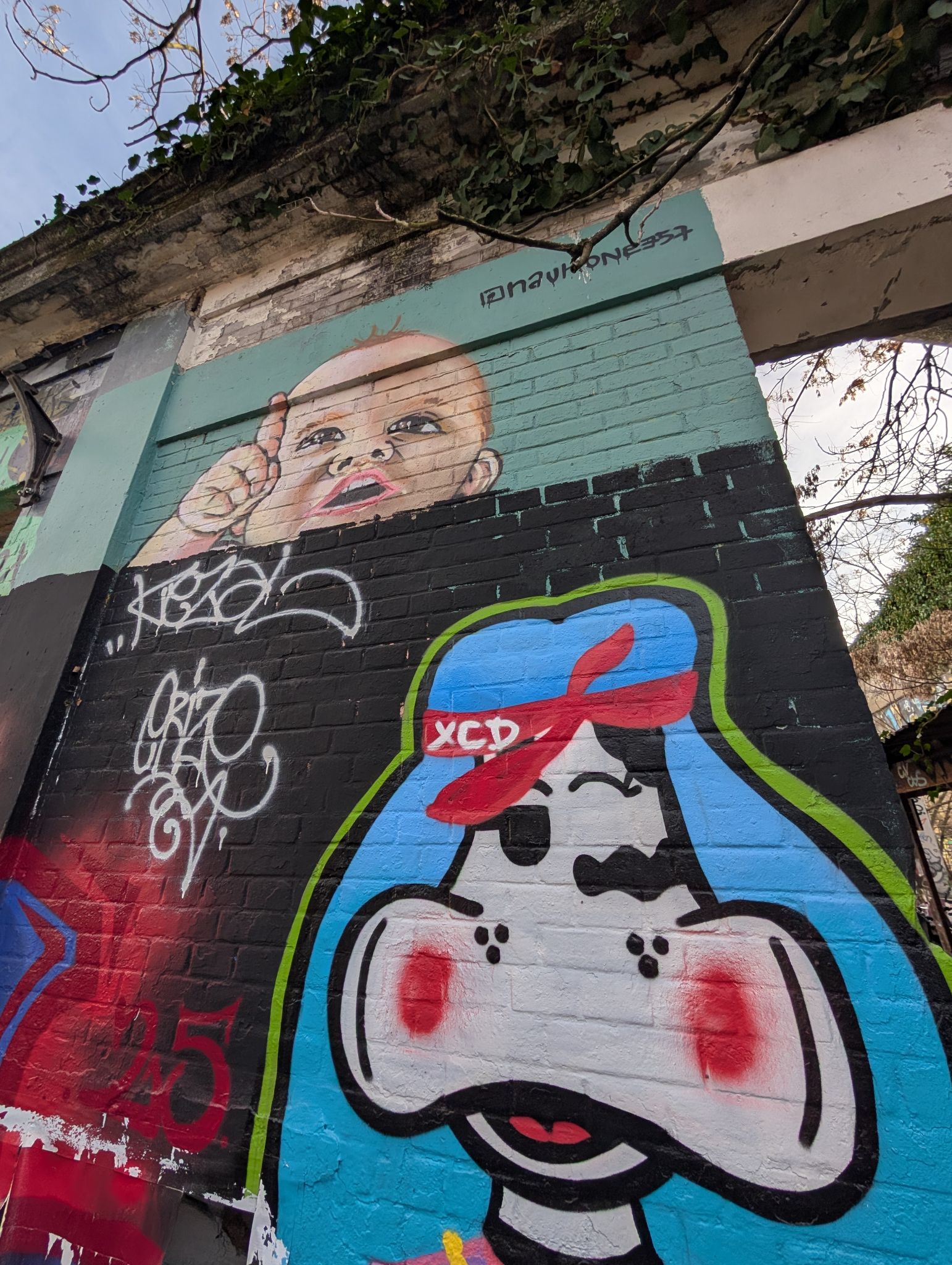 PXL 20251216 135552875