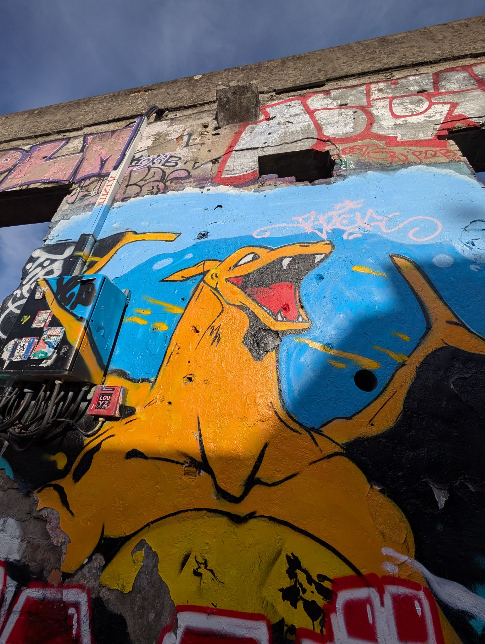 PXL 20251216 140101153