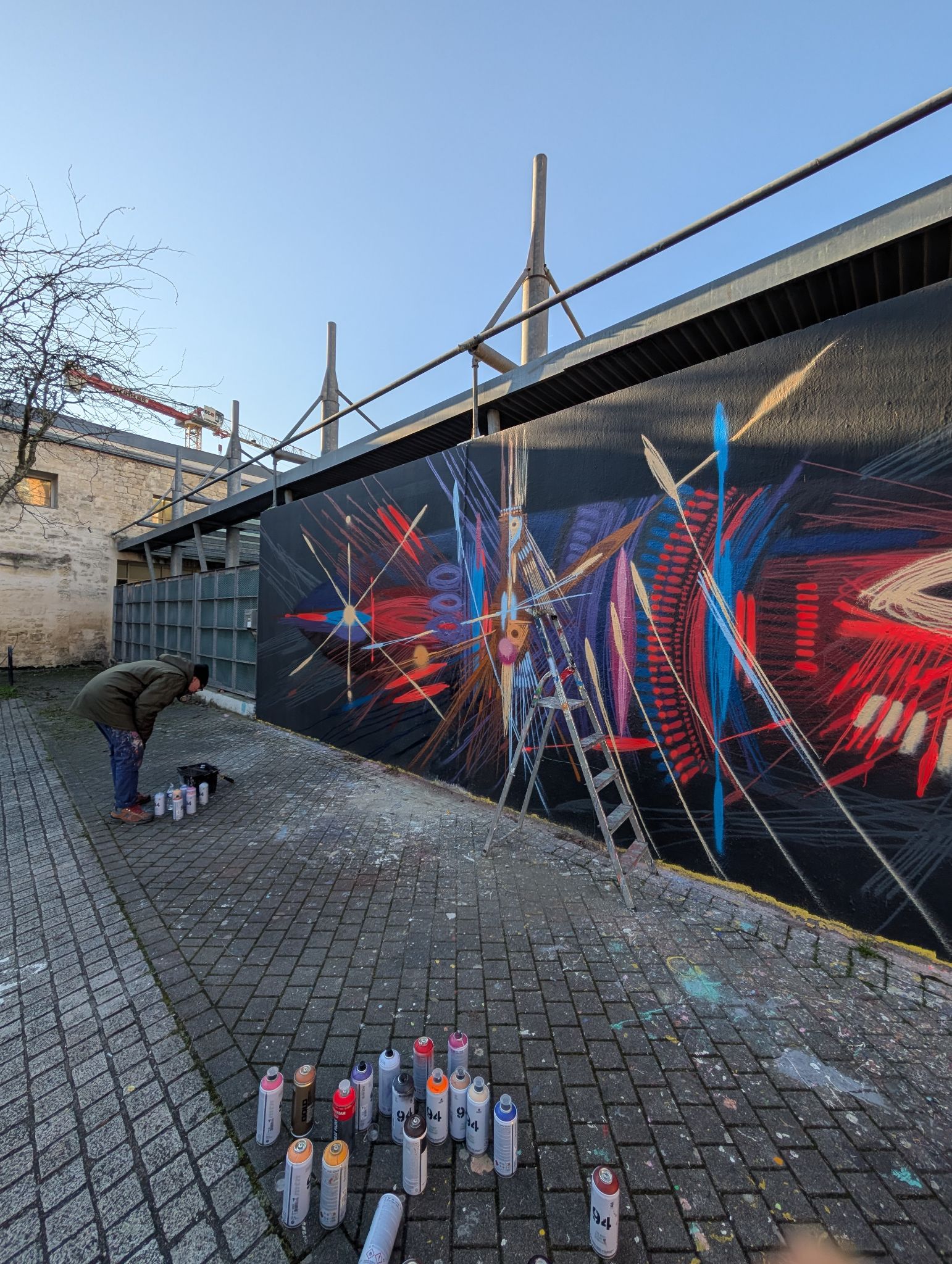 PXL 20250117 145138116