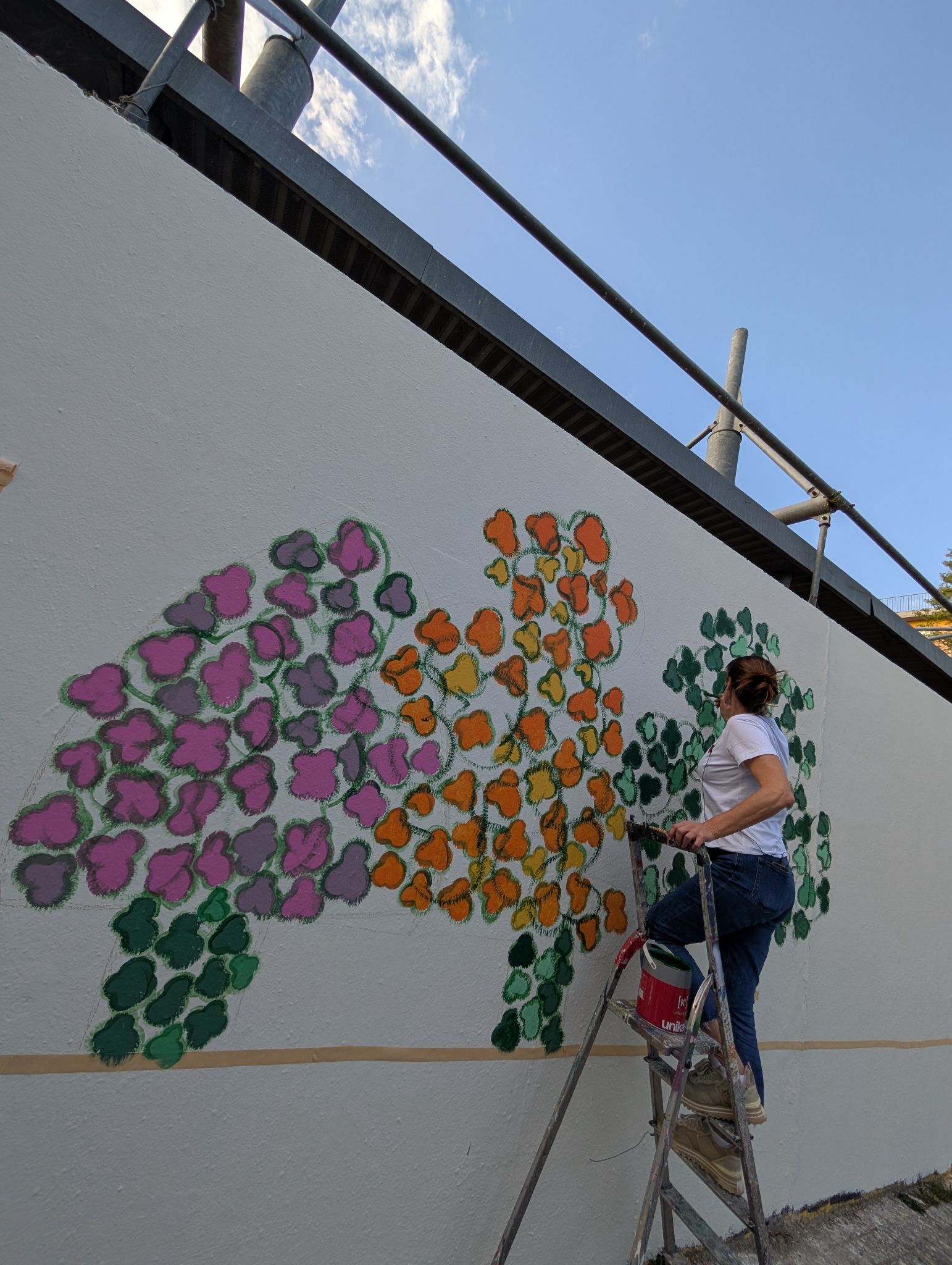 PXL 20250405 160933381