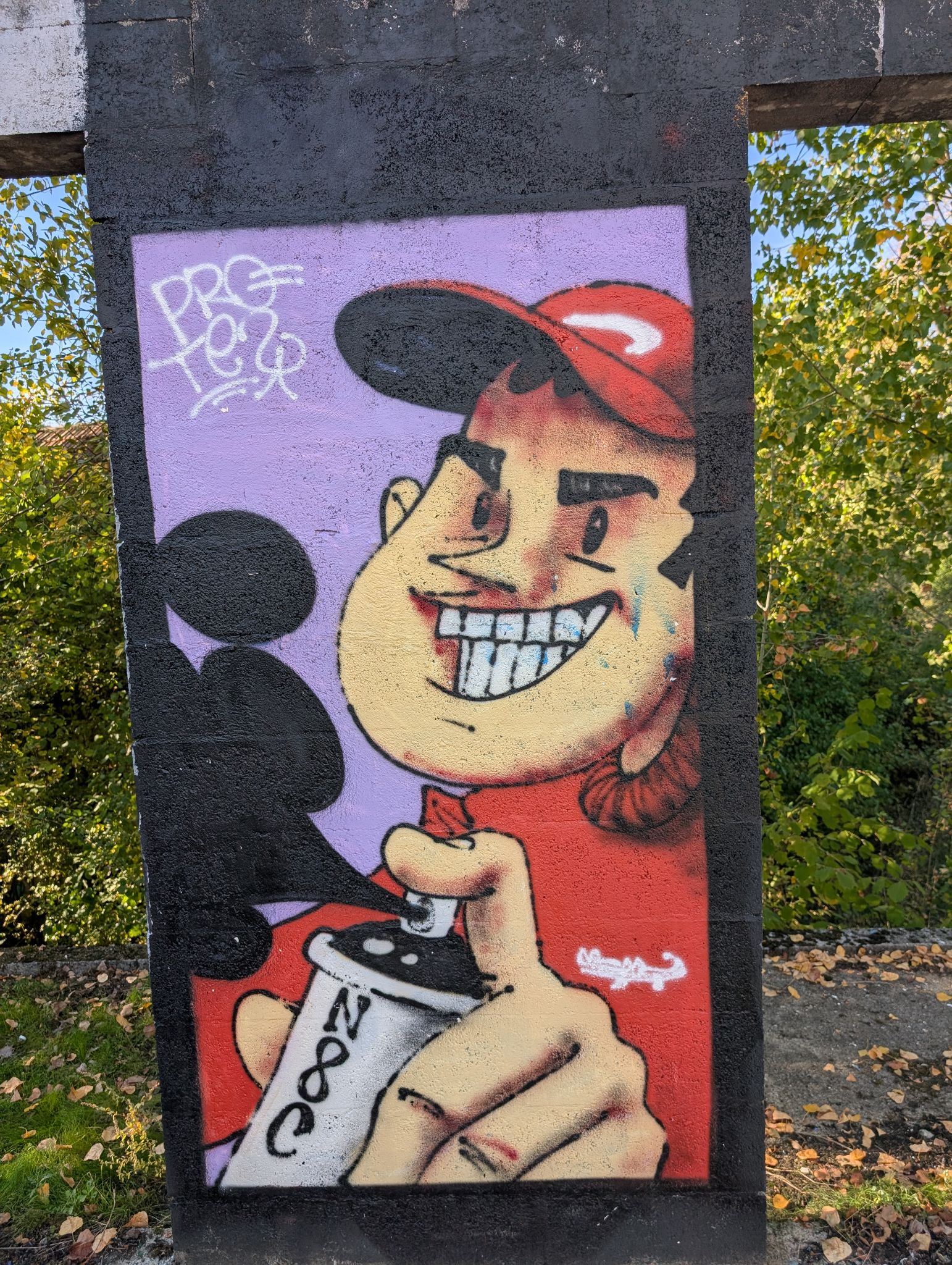 PXL 20251018 143929557