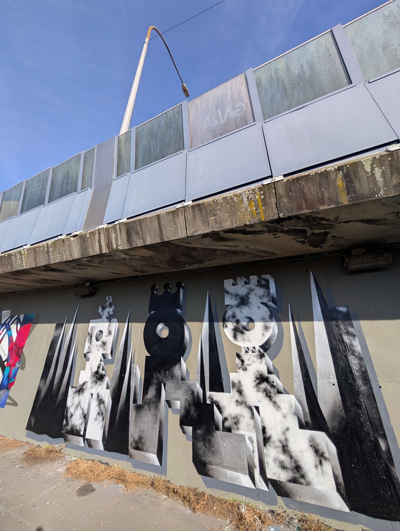 PXL 20250205 135037993