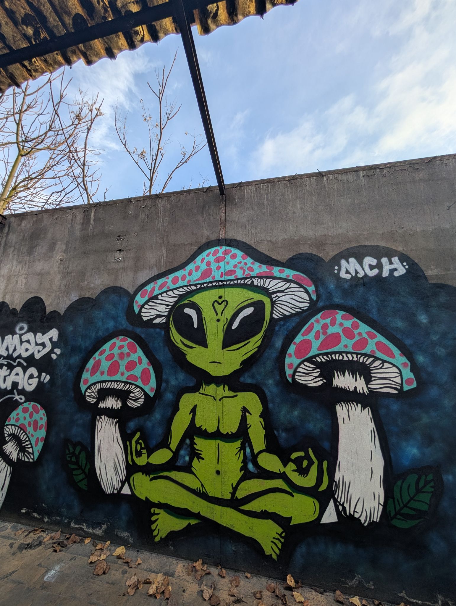 PXL 20260103 132518220