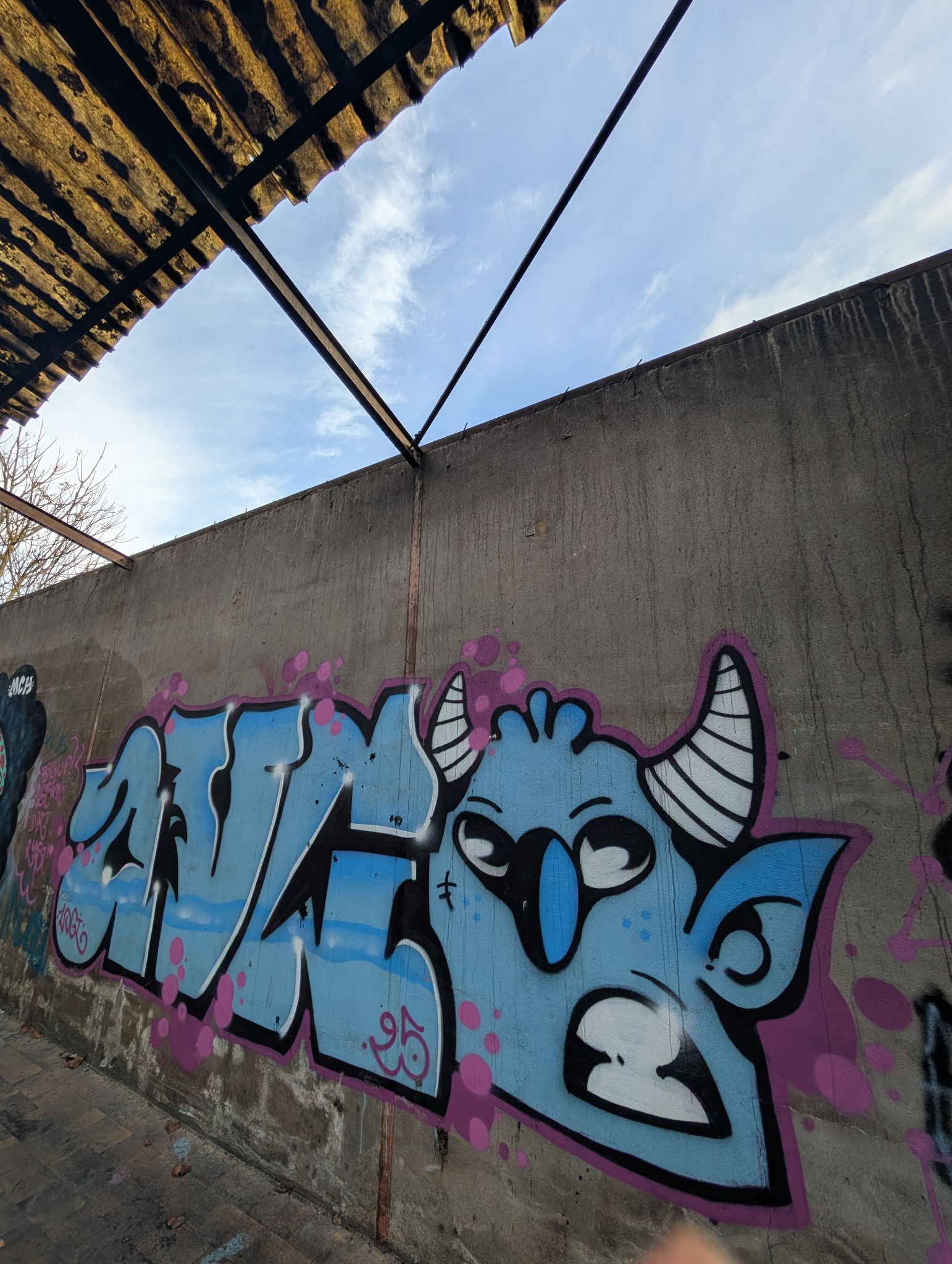 PXL 20260103 132530067