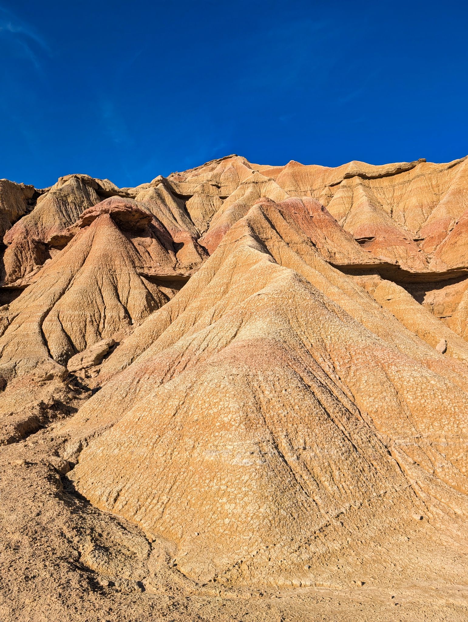 PXL 20250903 161737949