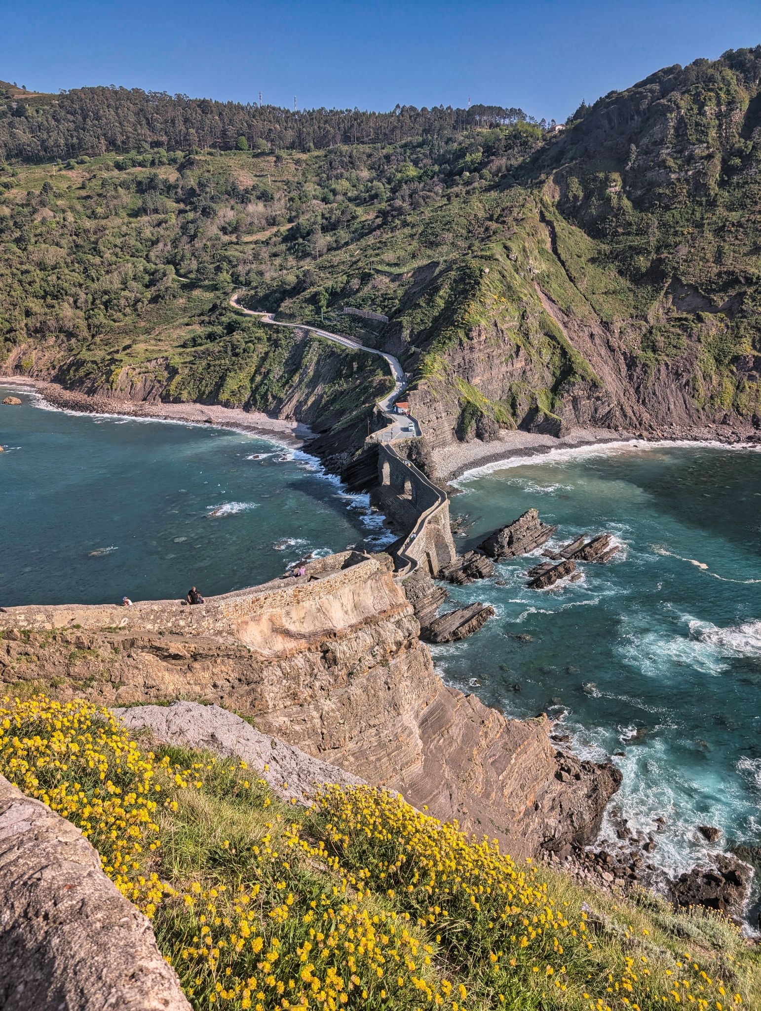 PXL 20250501 160754809