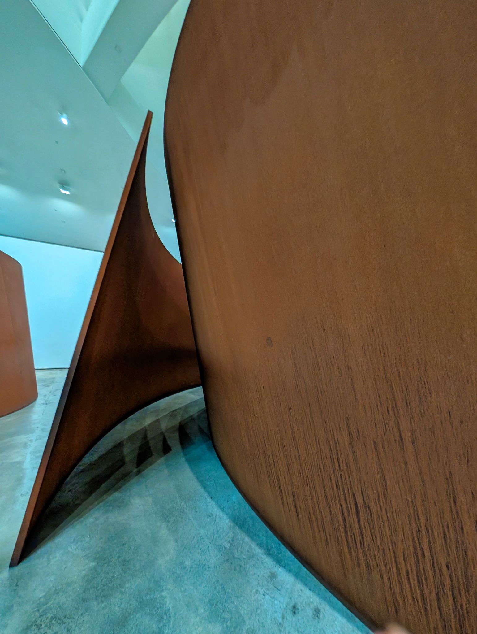 PXL 20250509 083257119