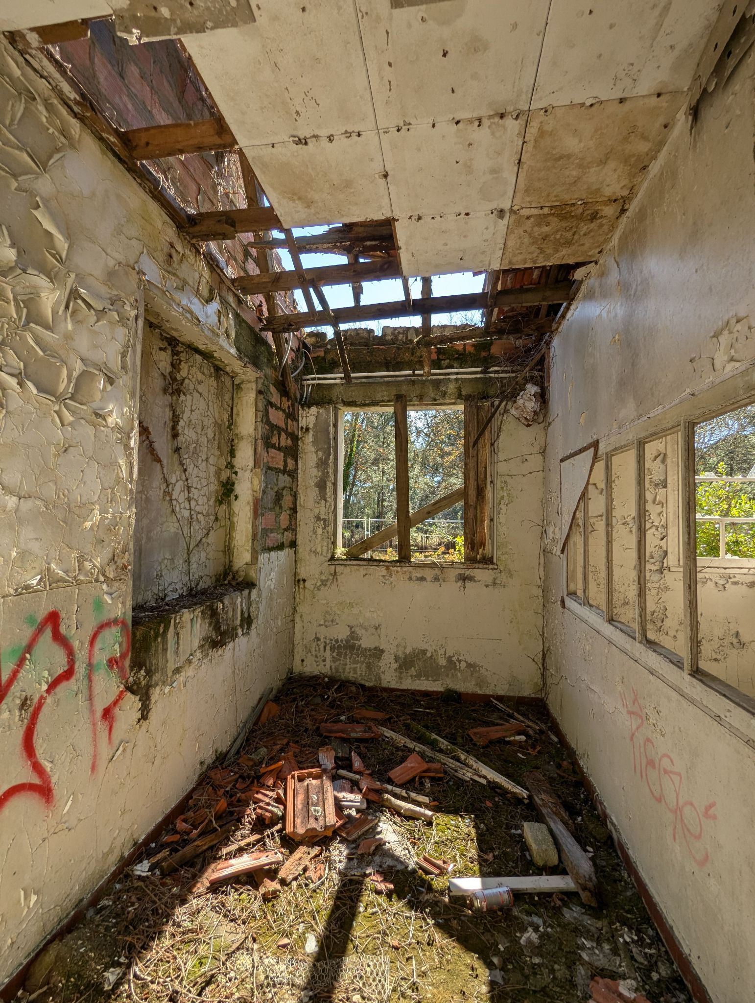 PXL 20241013 121225811