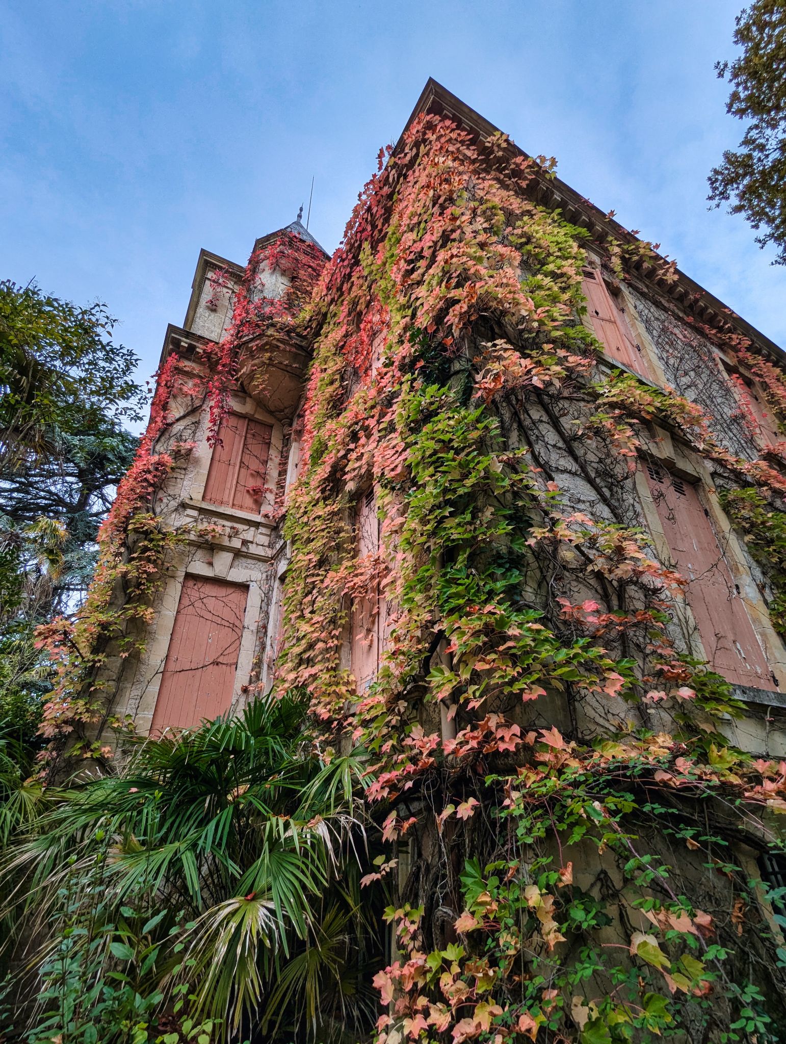 PXL 20241020 122733136