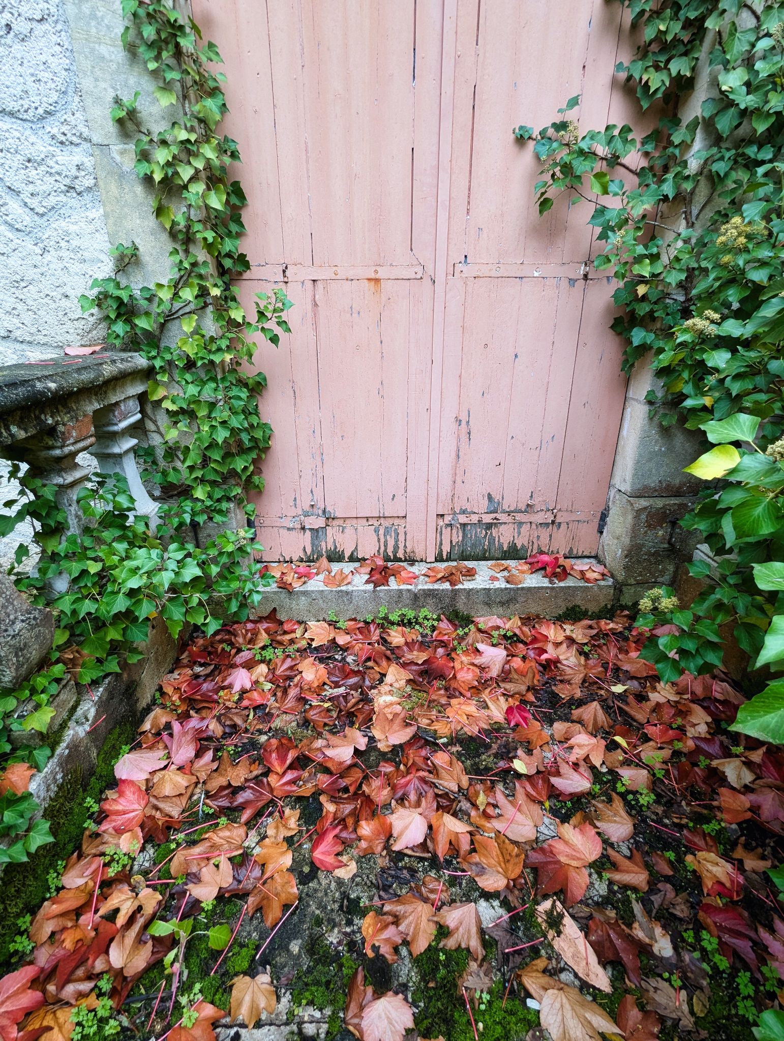 PXL 20241020 122947946