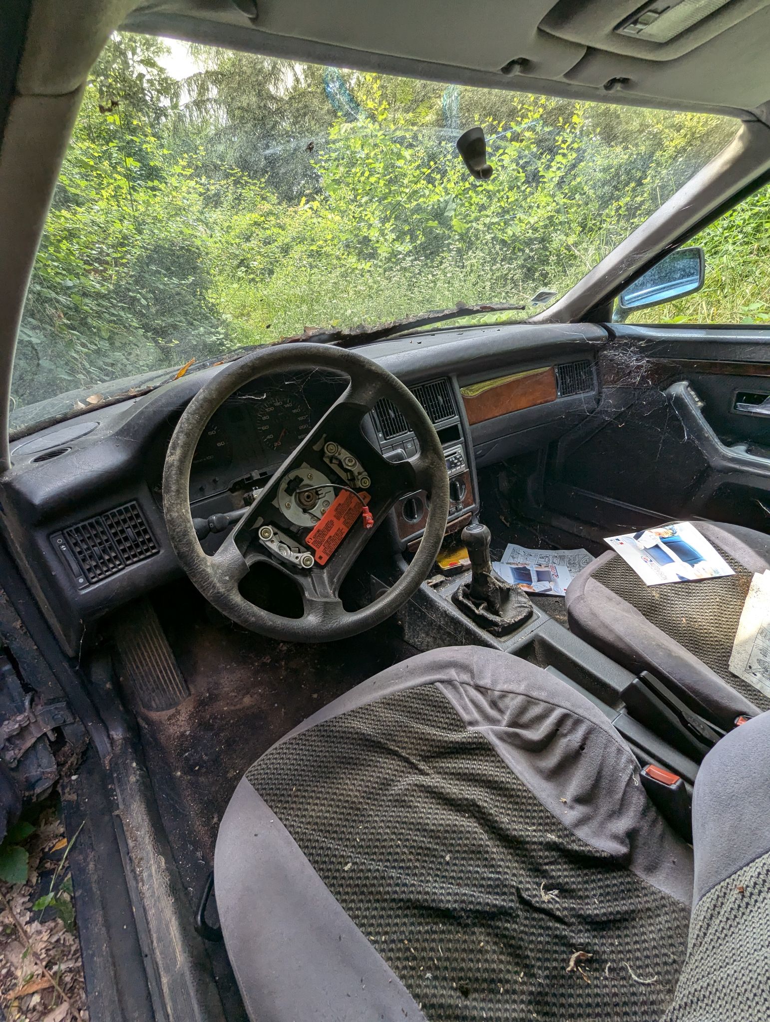 PXL 20240702 123842535