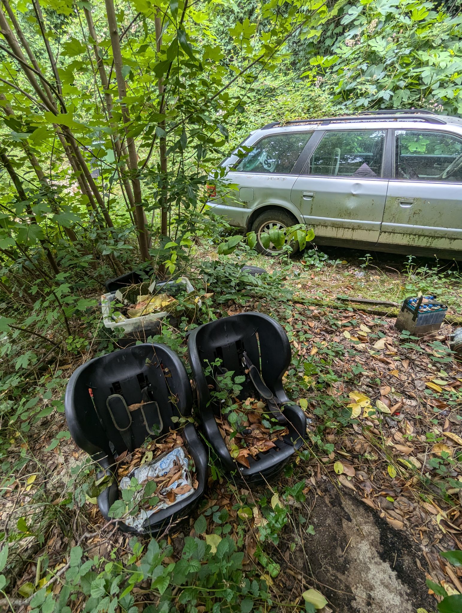 PXL 20240702 124023787