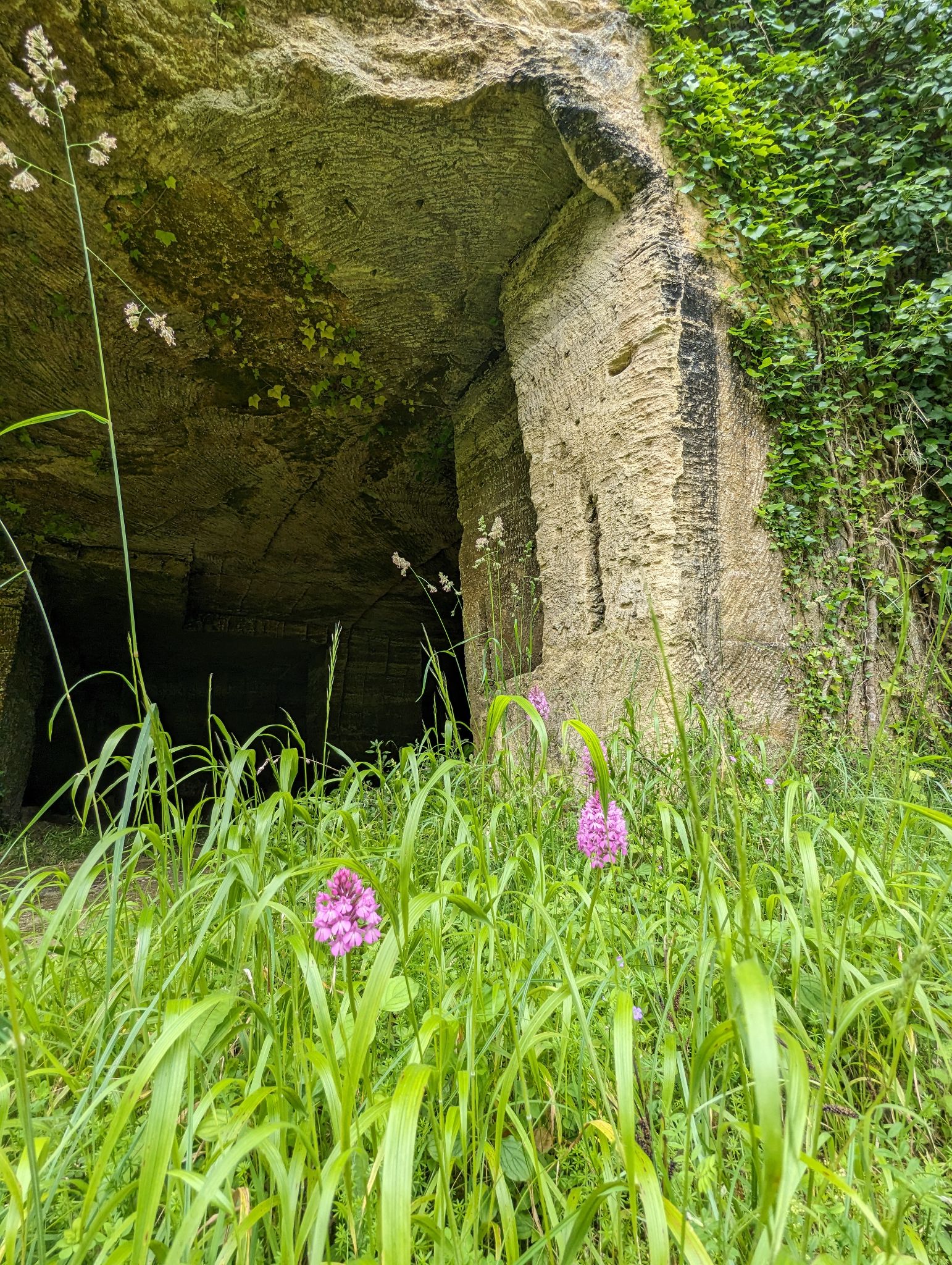 PXL 20240607 110352308