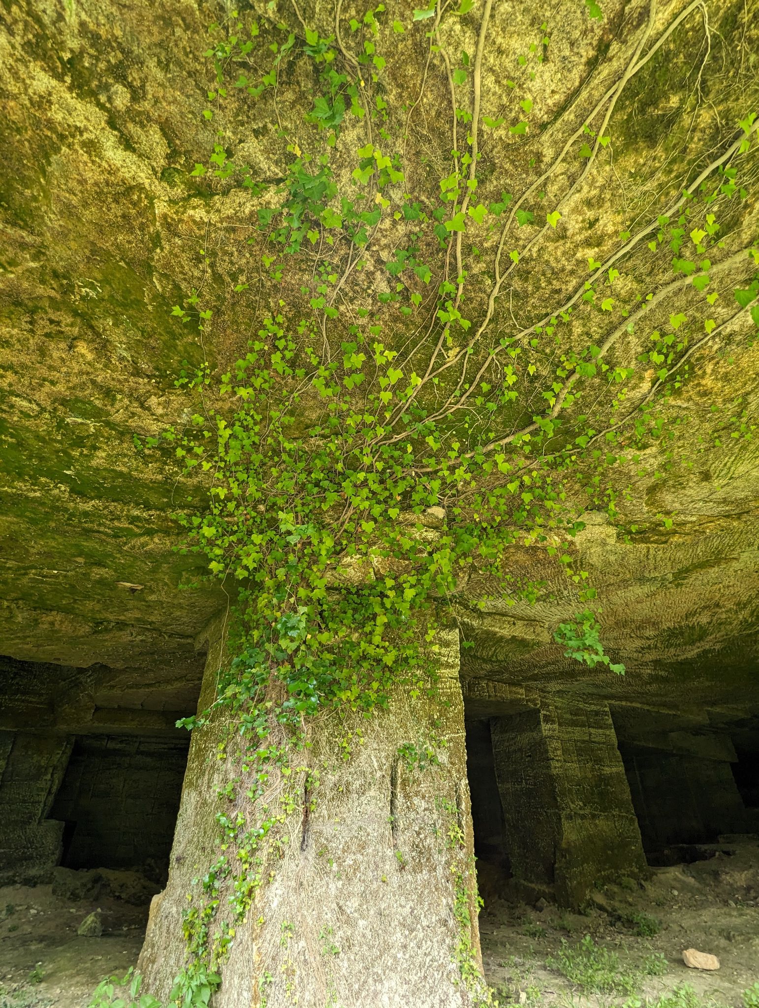 PXL 20240607 110404591