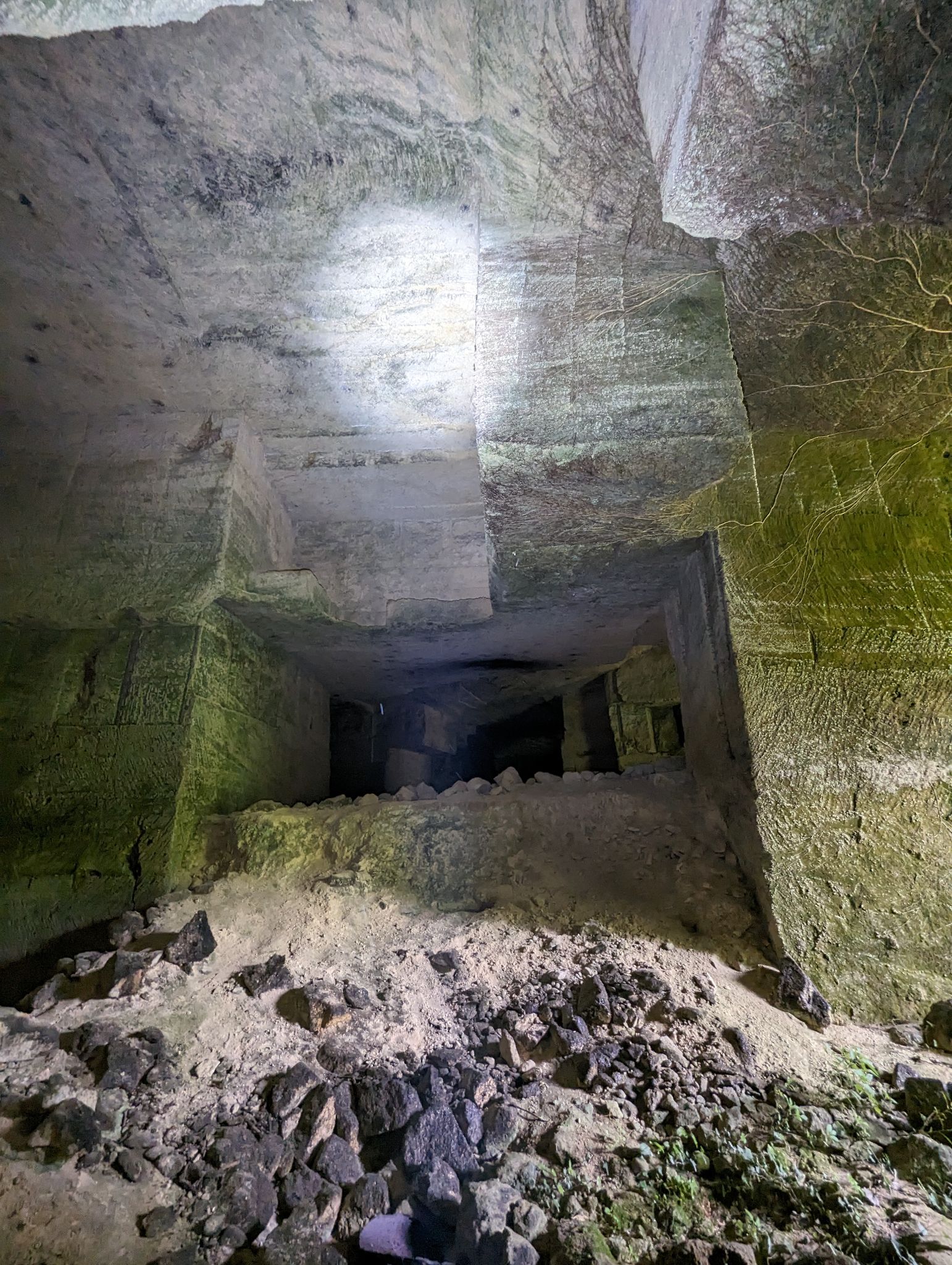 PXL 20240607 110541537