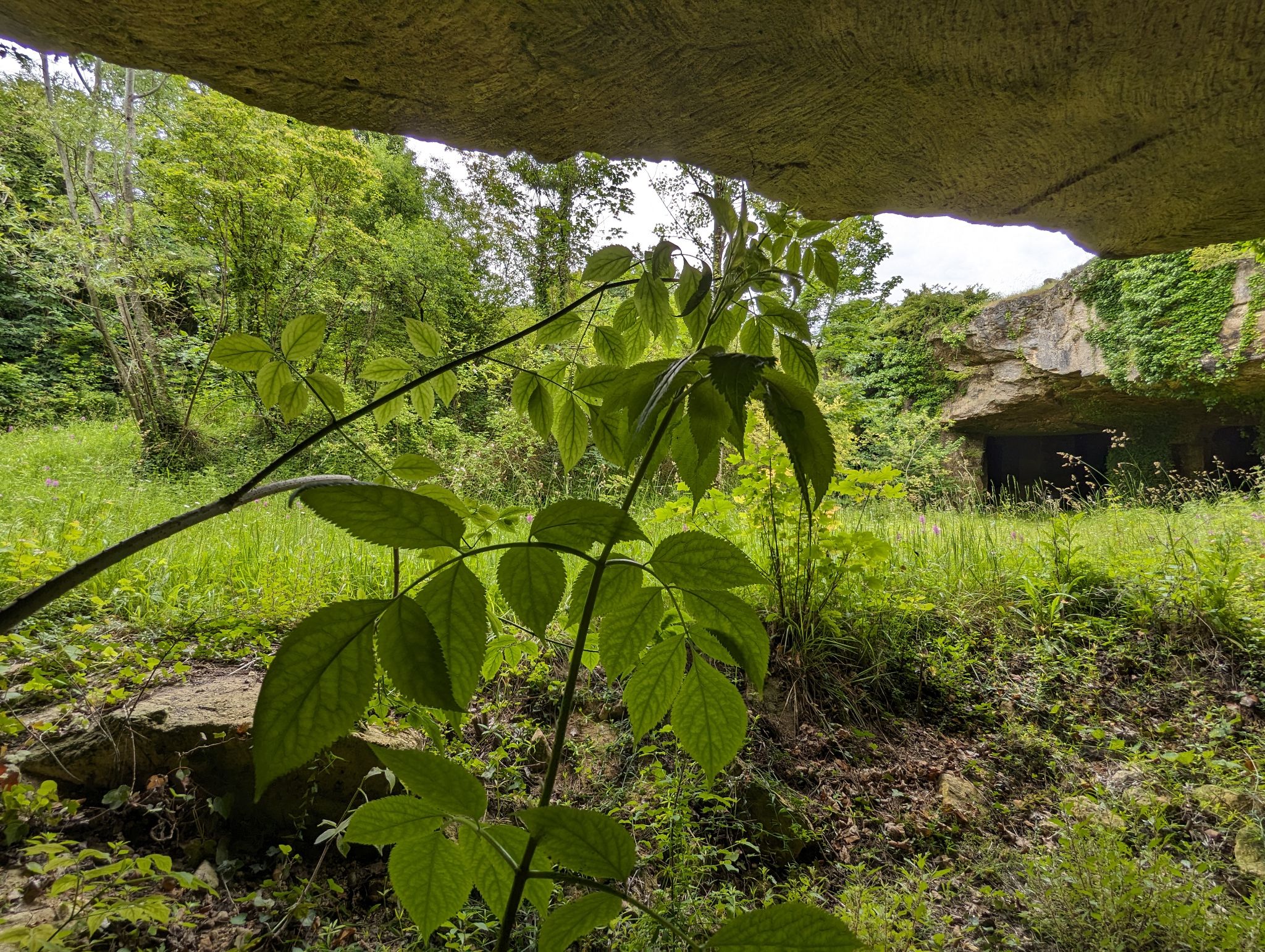 PXL 20240607 110956910