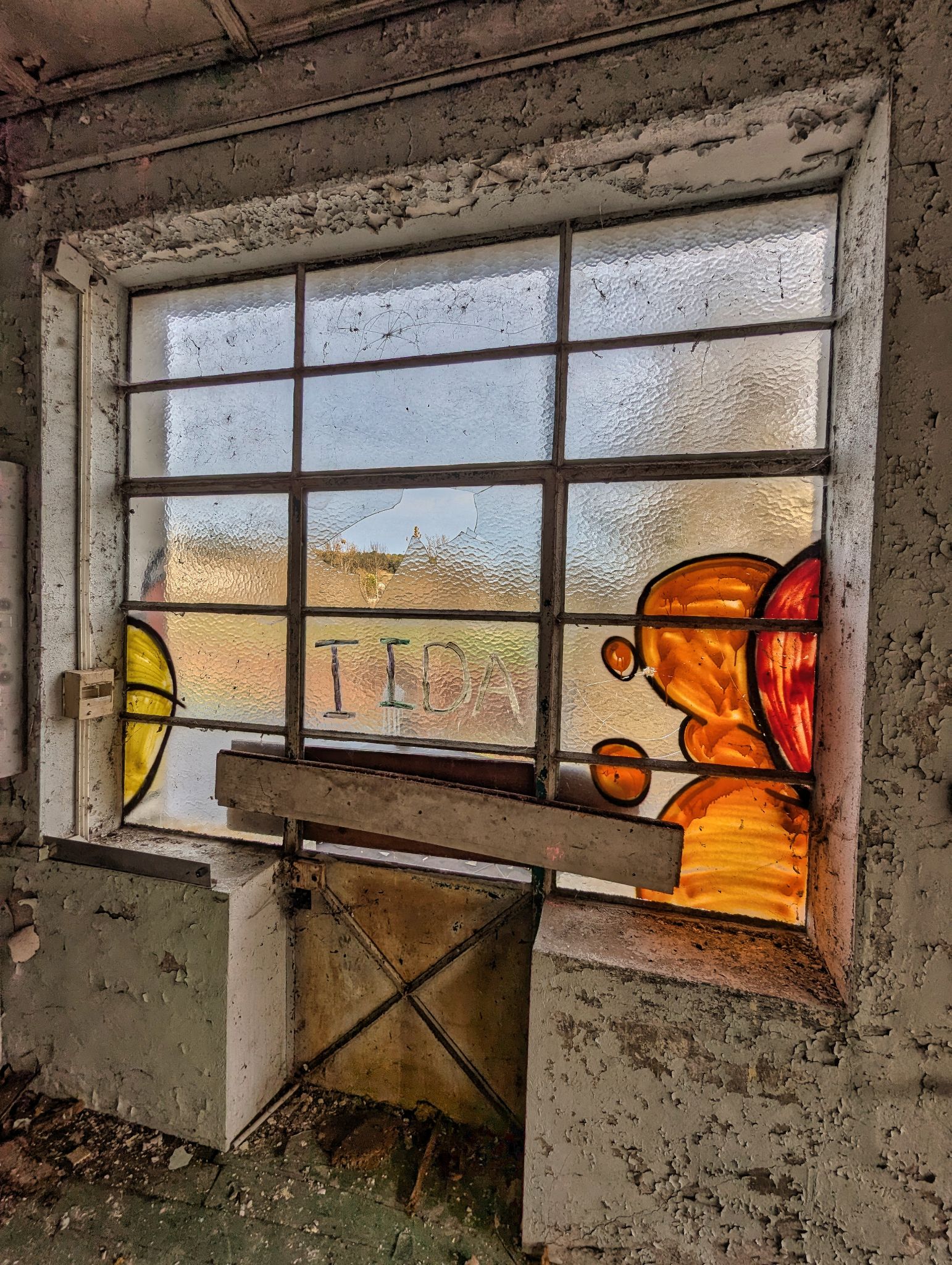 PXL 20241124 092101873