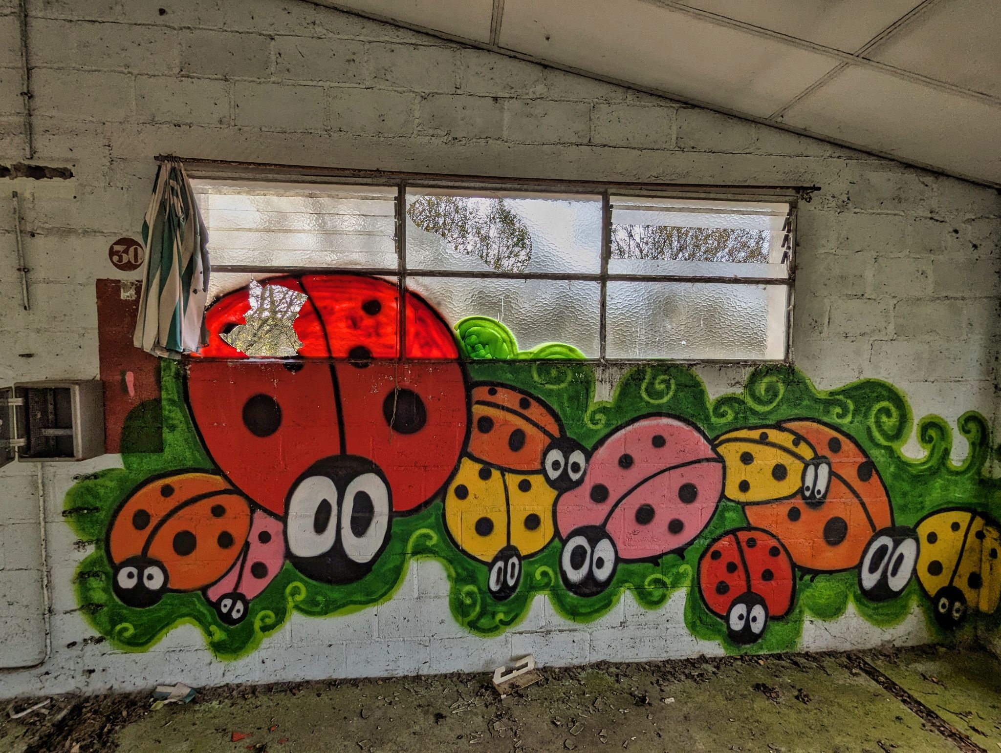 PXL 20241124 092211434