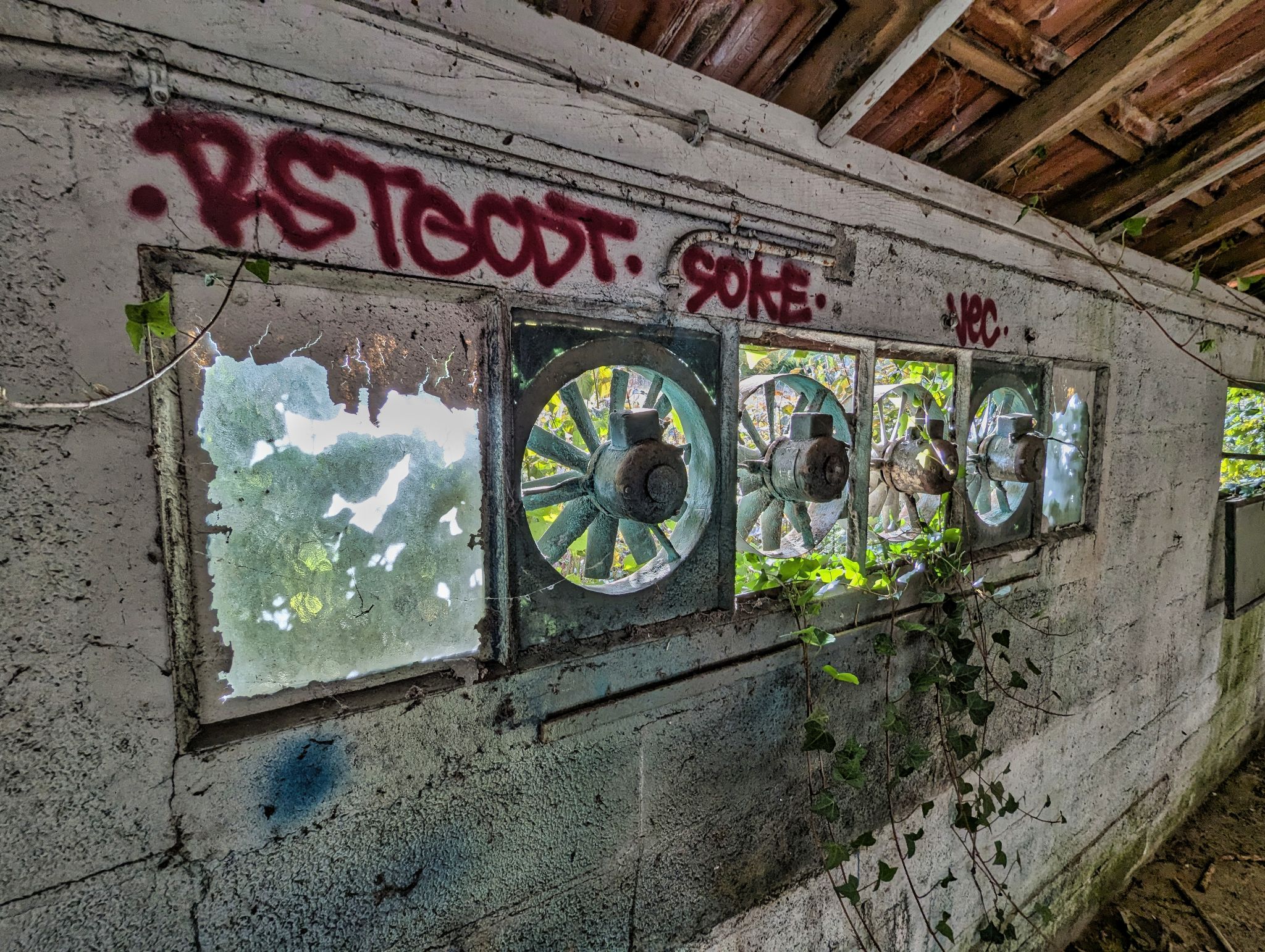 PXL 20241124 093414163