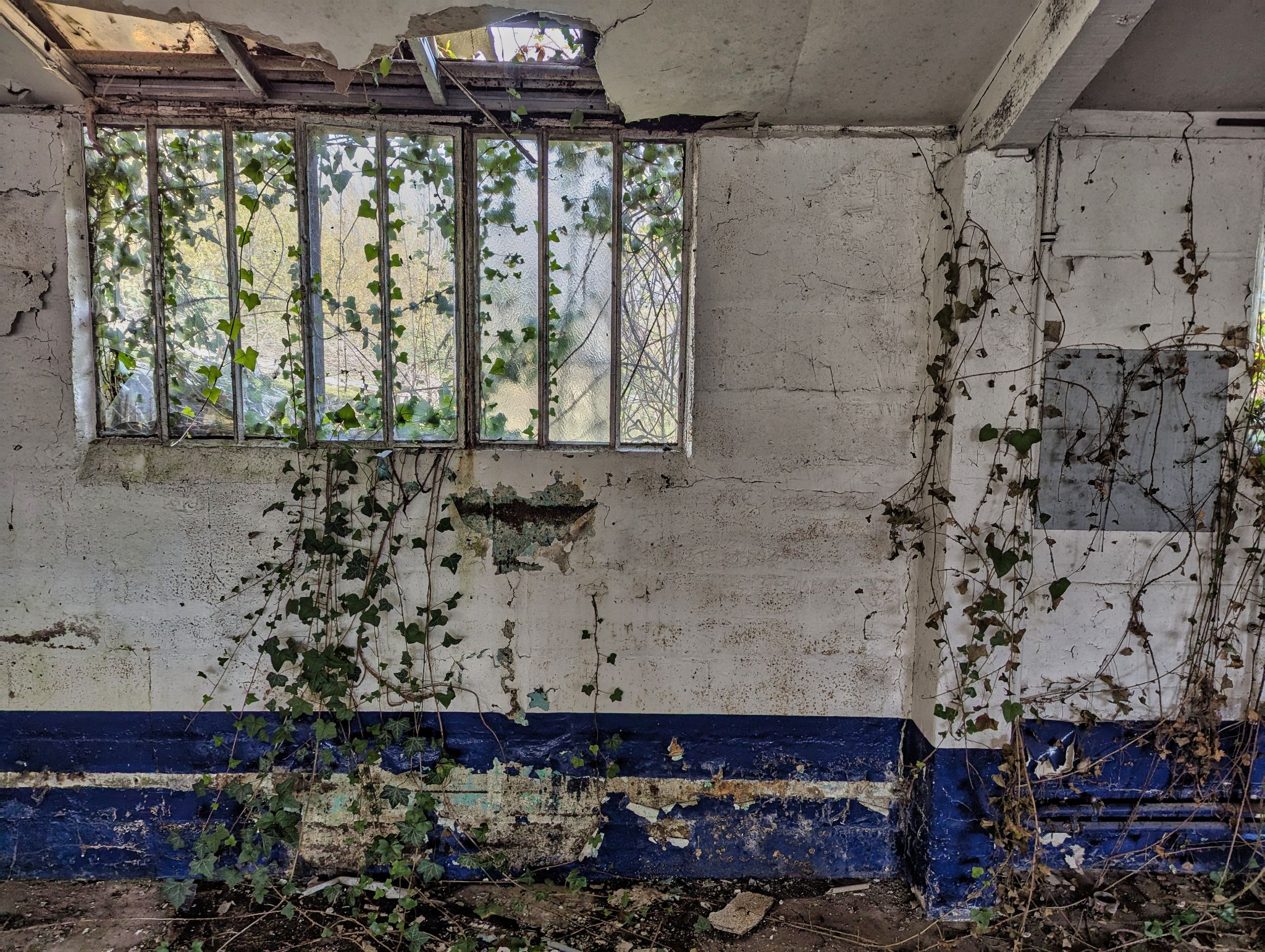 PXL 20241124 094112172.MP