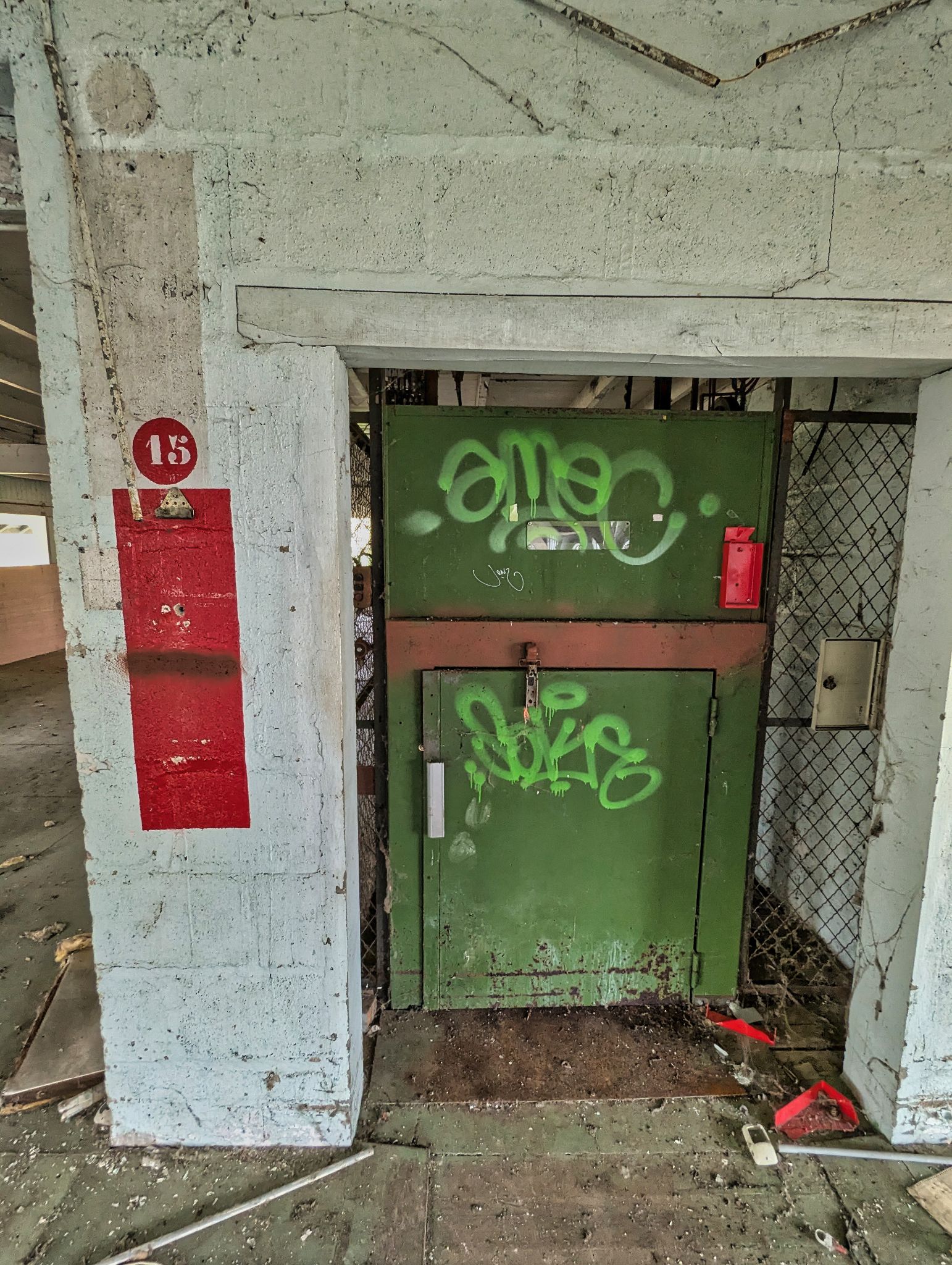 PXL 20241124 094546743